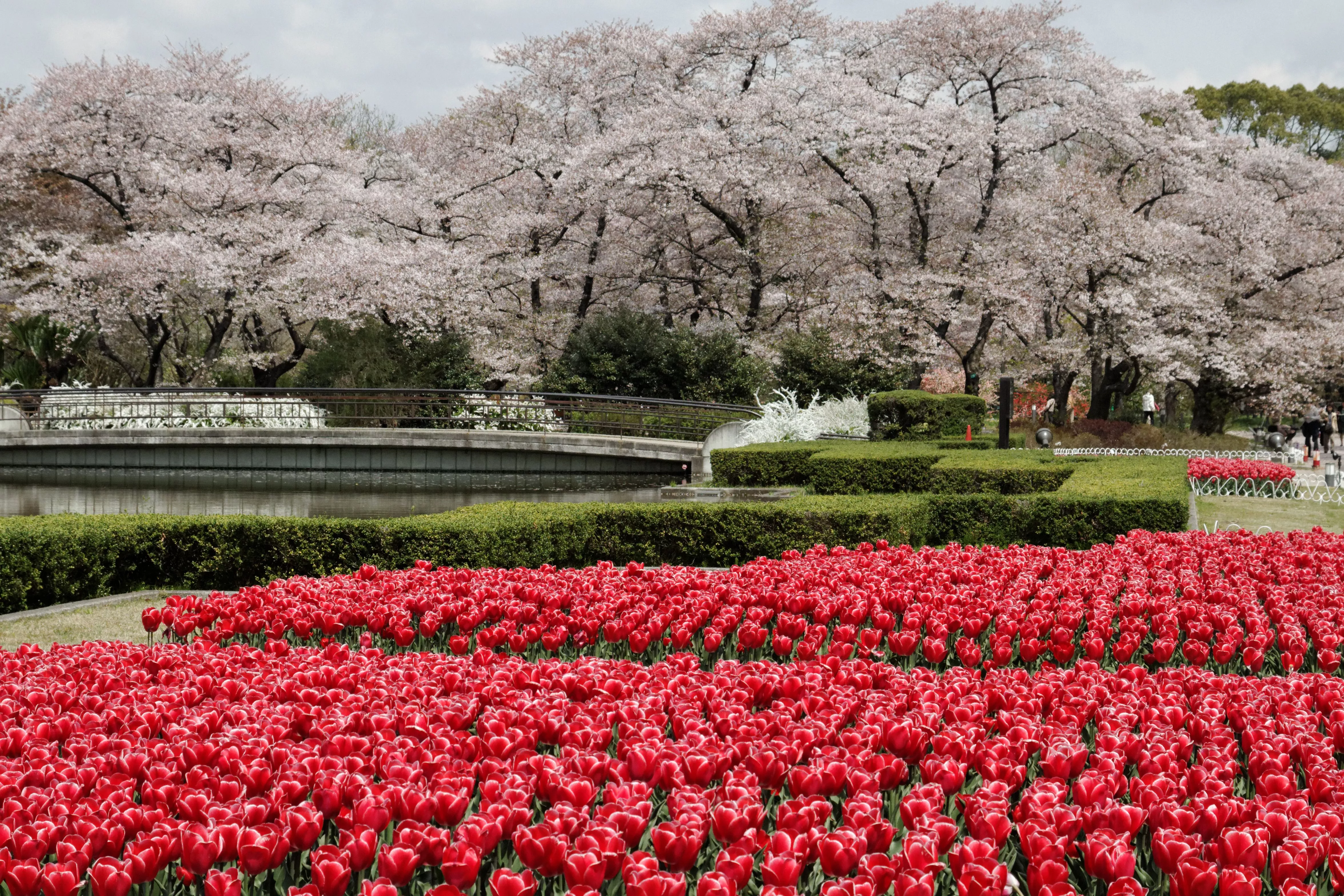 Kyoto Botanical Garden in Japan, East Asia | Botanical Gardens - Rated 3.7
