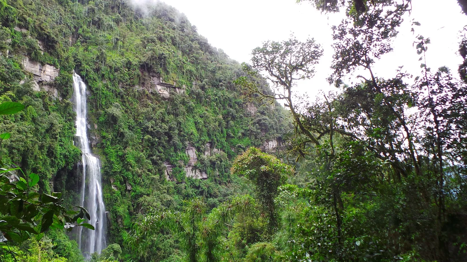 La Chorrera Waterfall in Colombia, South America | Waterfalls - Rated 3.9