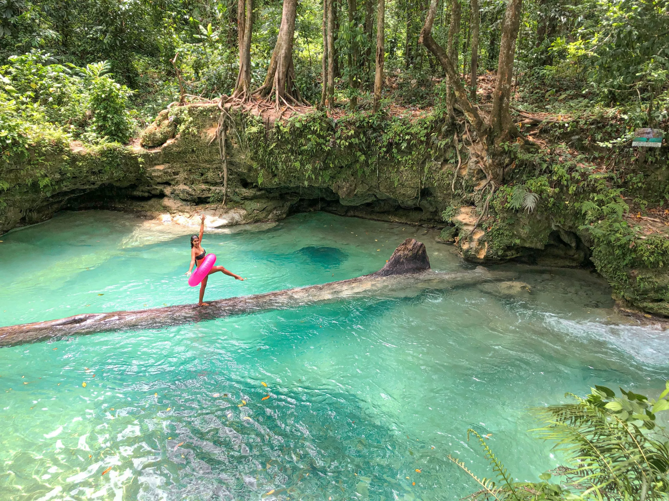 La Rejoya in Dominican Republic, Caribbean | Waterfalls,Trekking & Hiking - Rated 0.8