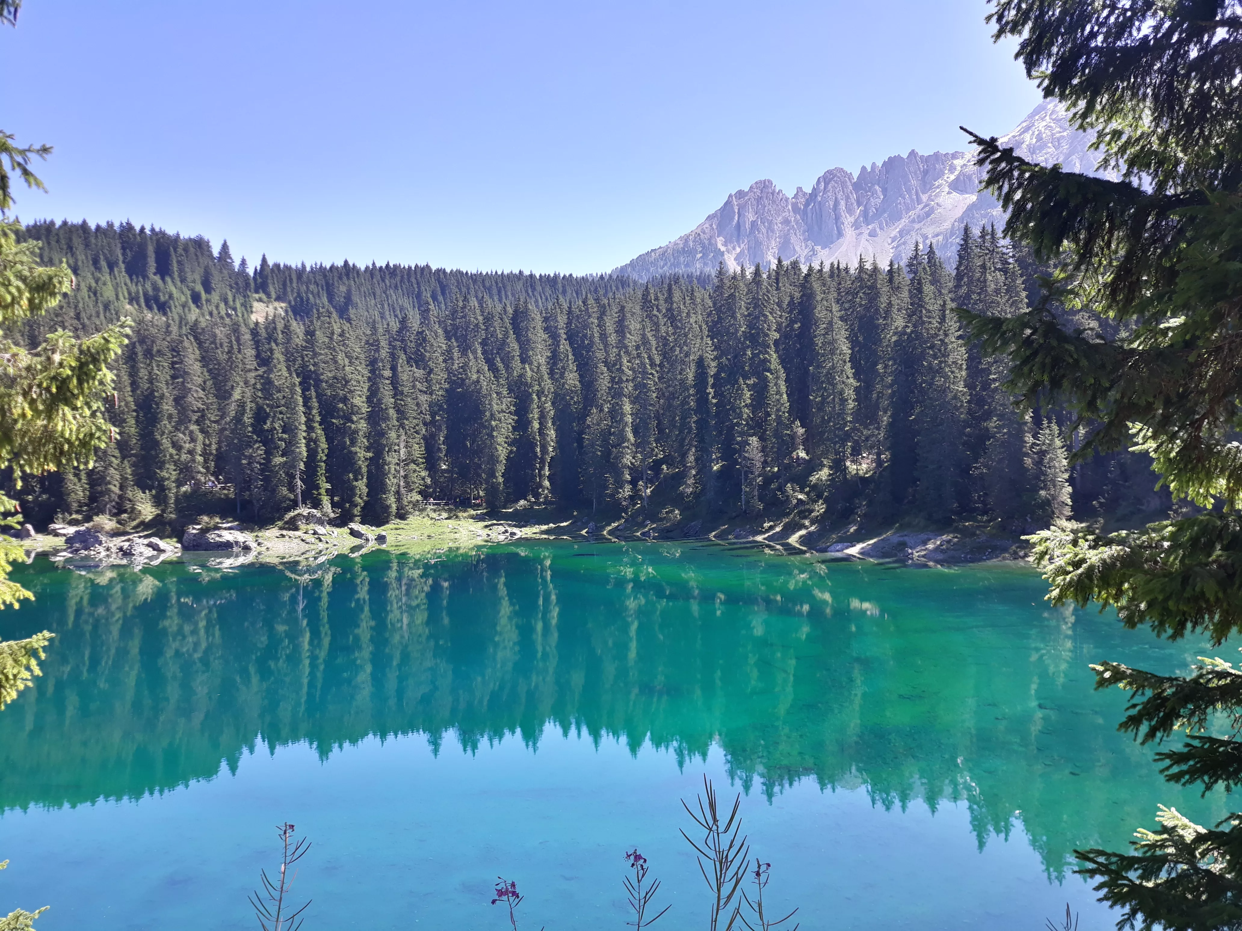 Lago di Carezza in Italy, Europe | Lakes - Rated 4
