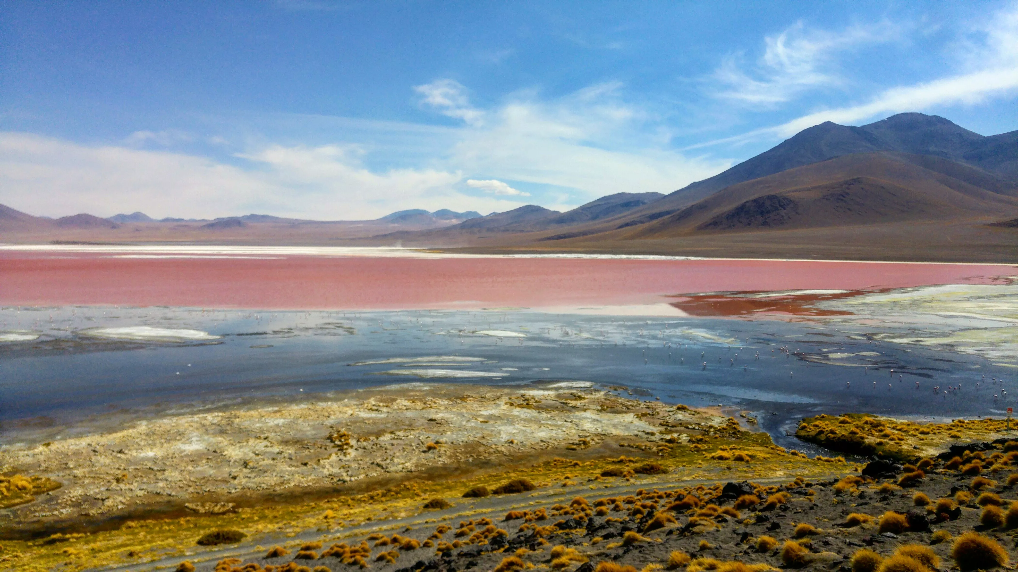 Lagoon Colorado in Bolivia, South America | Lakes - Rated 3.9