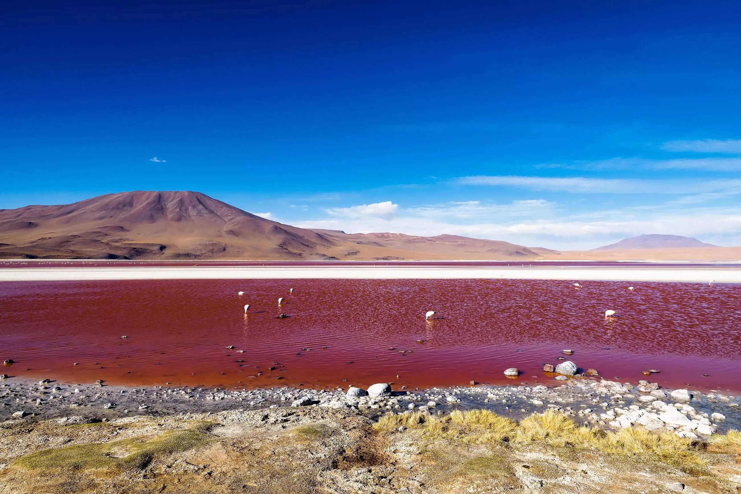 Laguna Colorada in Bolivia, South America | Nature Reserves,Lakes - Rated 3.9
