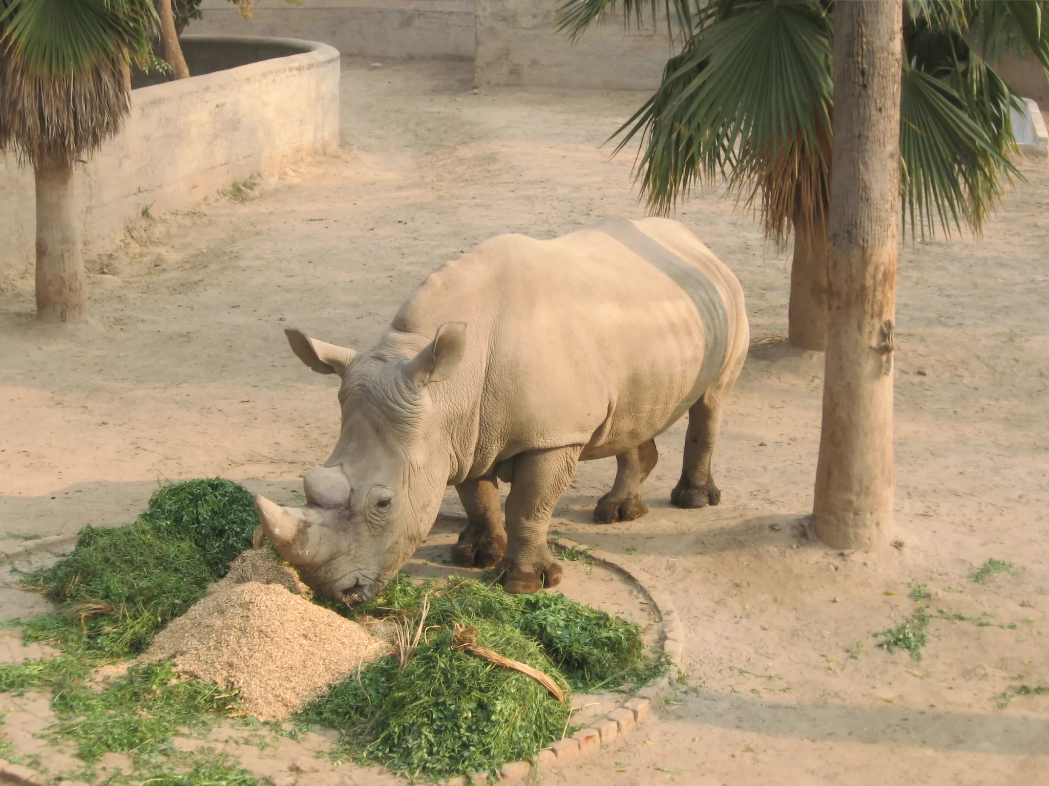 Lahore Zoo in Pakistan, South Asia | Zoos & Sanctuaries - Rated 6.3