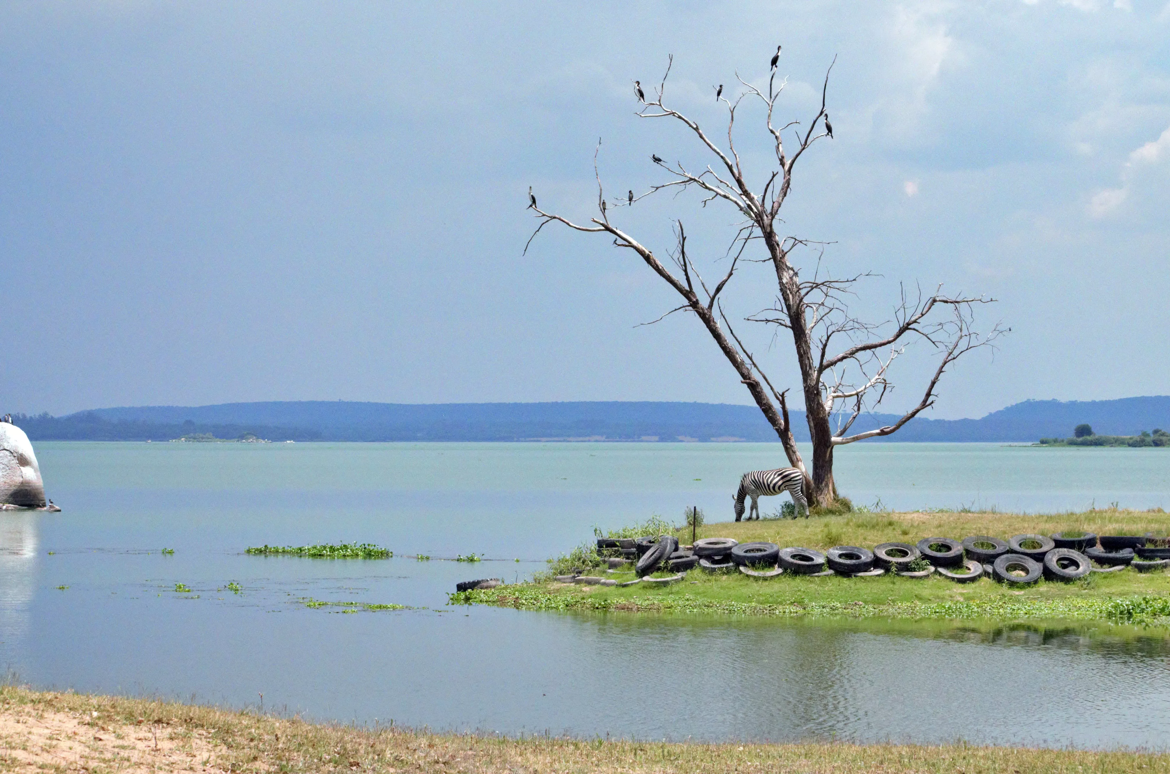 Lake Chivero Recreational Park in Zimbabwe, Africa | Parks,Lakes - Rated 3.2