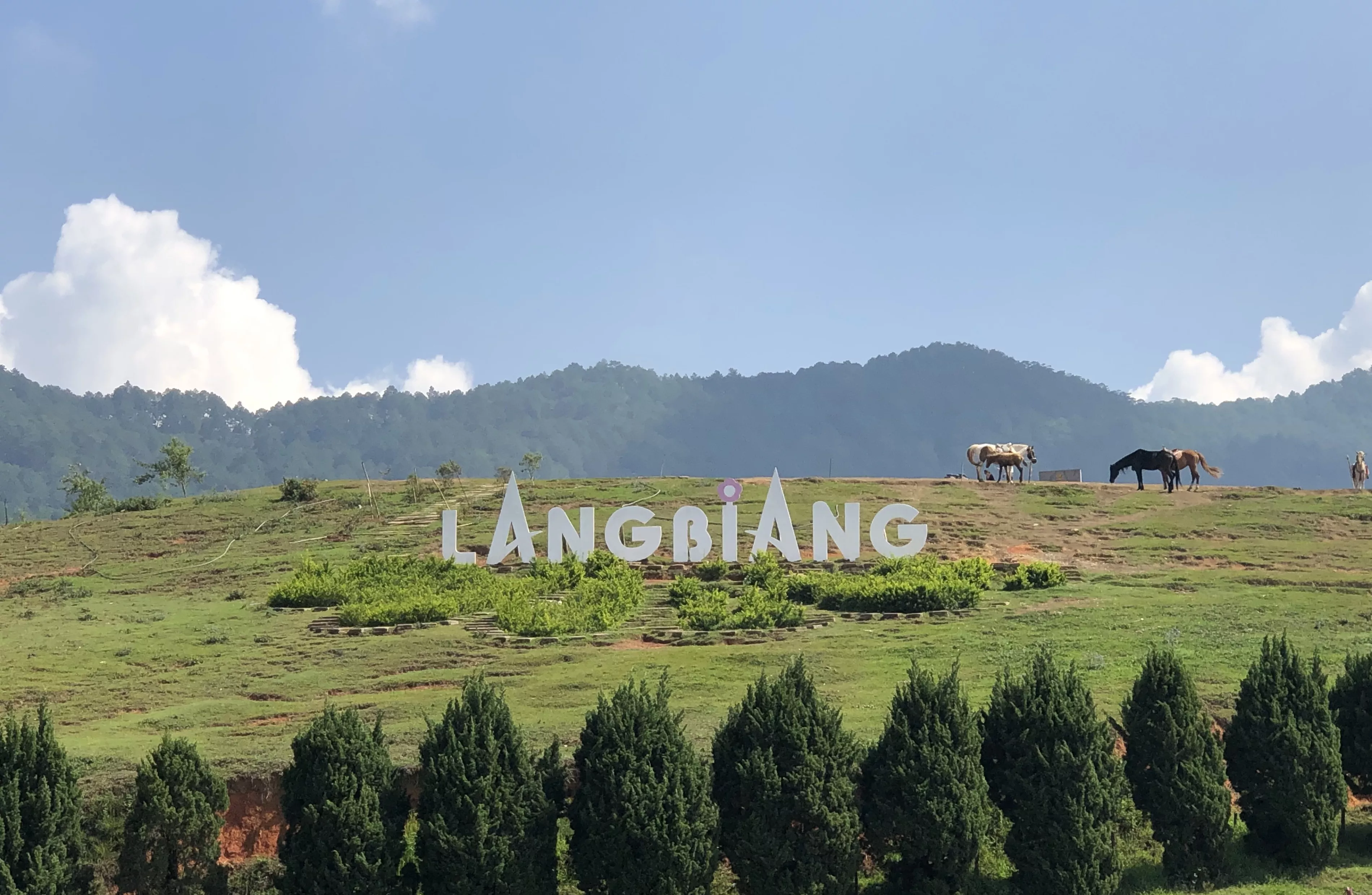 Lang Bian Mountain in Vietnam, East Asia | Trekking & Hiking - Rated 3.5