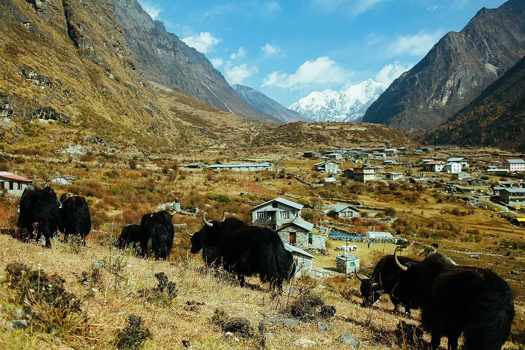 Langtang National Park in Nepal, Central Asia | Parks - Rated 3.7