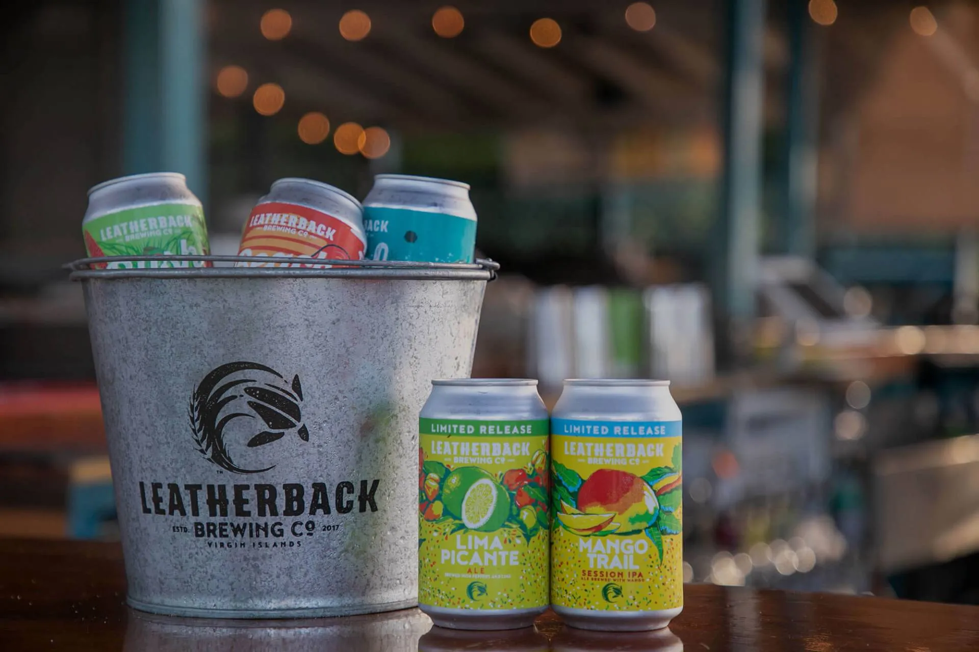 Leatherback Brewing in USA, North America | Pubs & Breweries - Rated 0.9