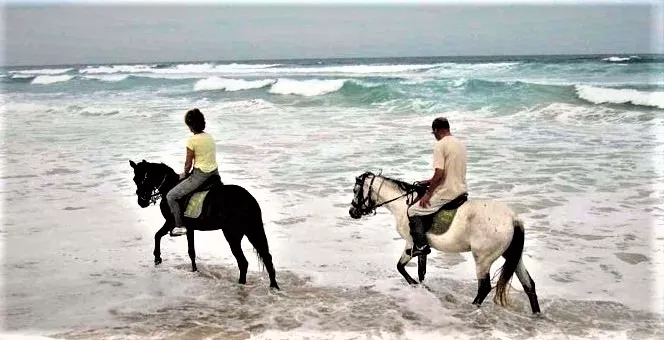 Les Chevaux Du Lac in Senegal, Africa | Horseback Riding - Rated 1
