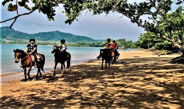 Les Ecuries de Gammarth in Tunisia, Africa | Horseback Riding - Rated 0.9