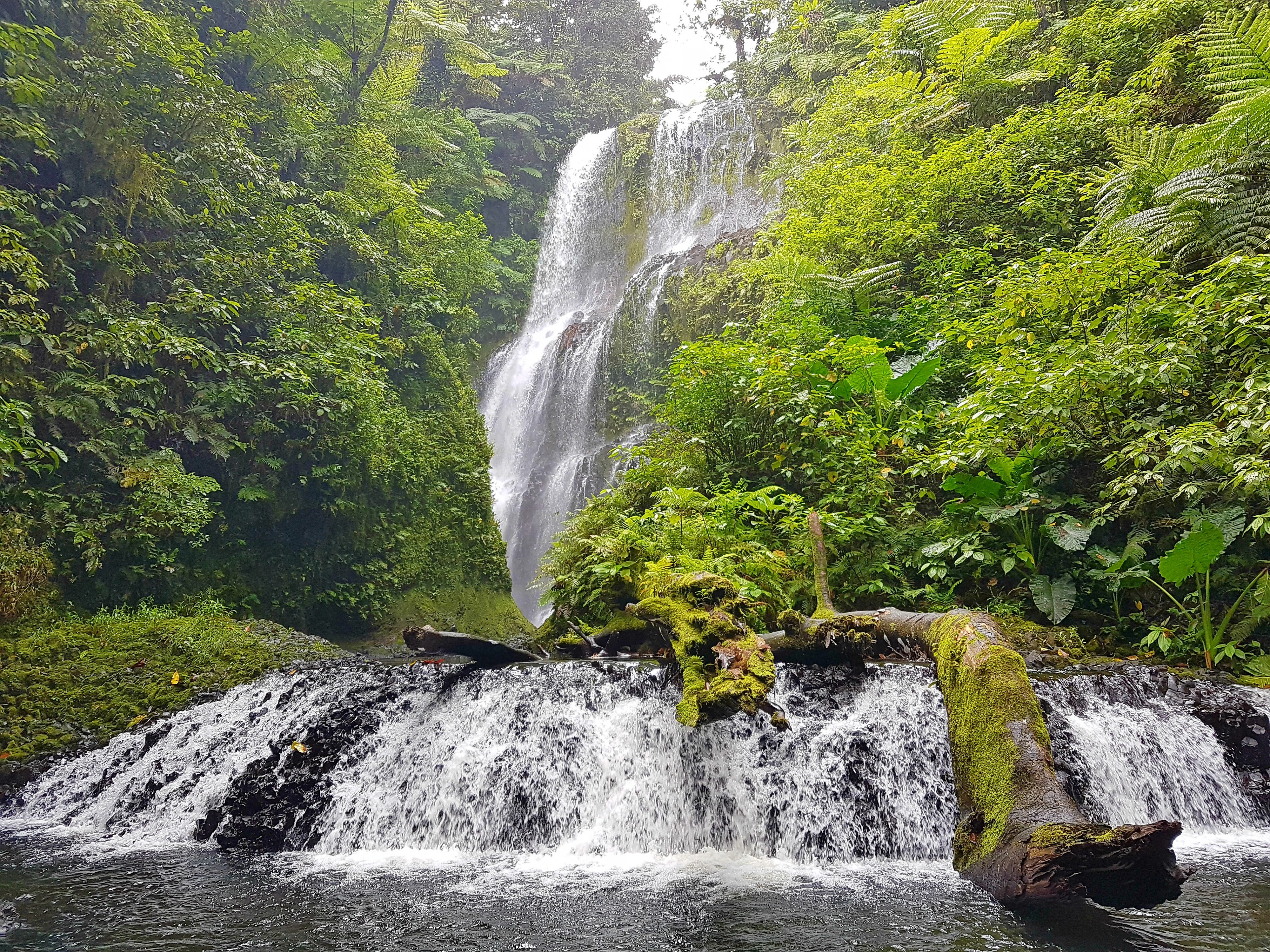 Liduduhniap Waterfall in Micronesia, Australia and Oceania | Waterfalls - Rated 0.8