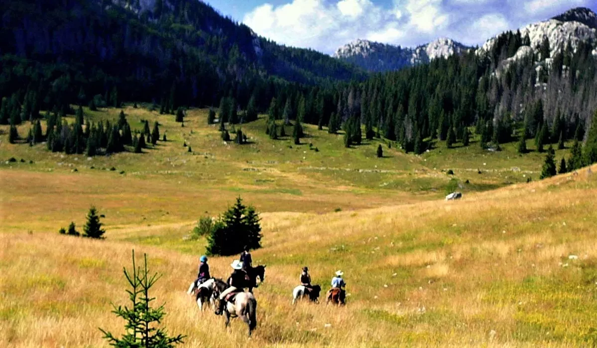 Linden Tree Retreat & Ranch in Croatia, Europe | Horseback Riding - Rated 1