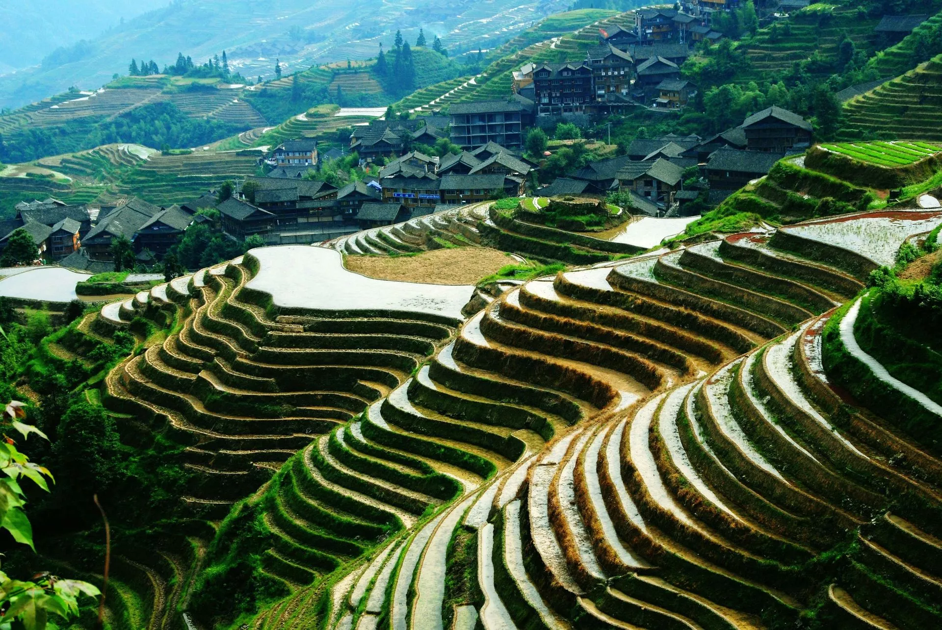 Longji Rice Terrace Hiking in China, East Asia | Trekking & Hiking - Rated 4.1
