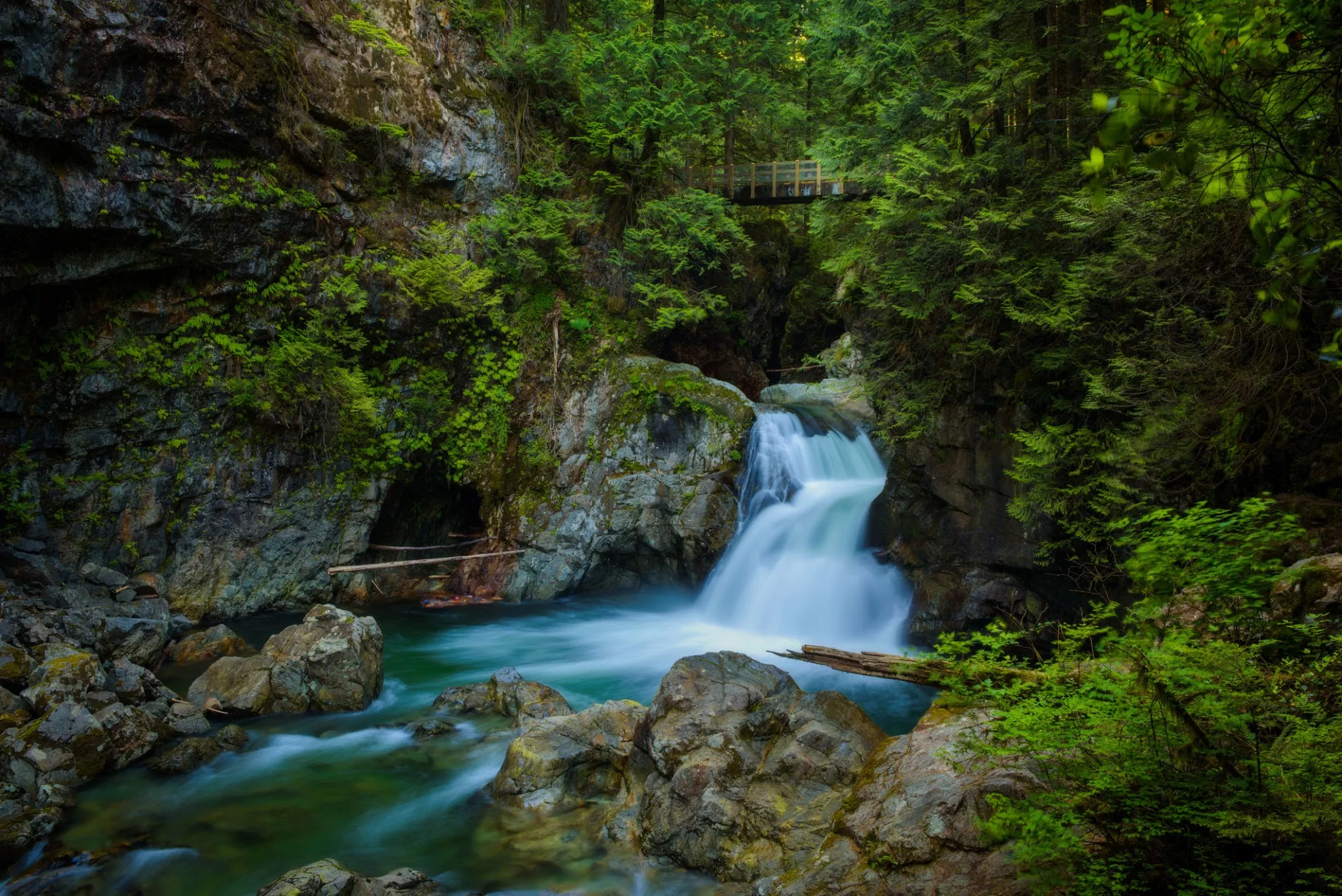 Lynn Canyon Park in Canada, North America | Parks - Rated 4