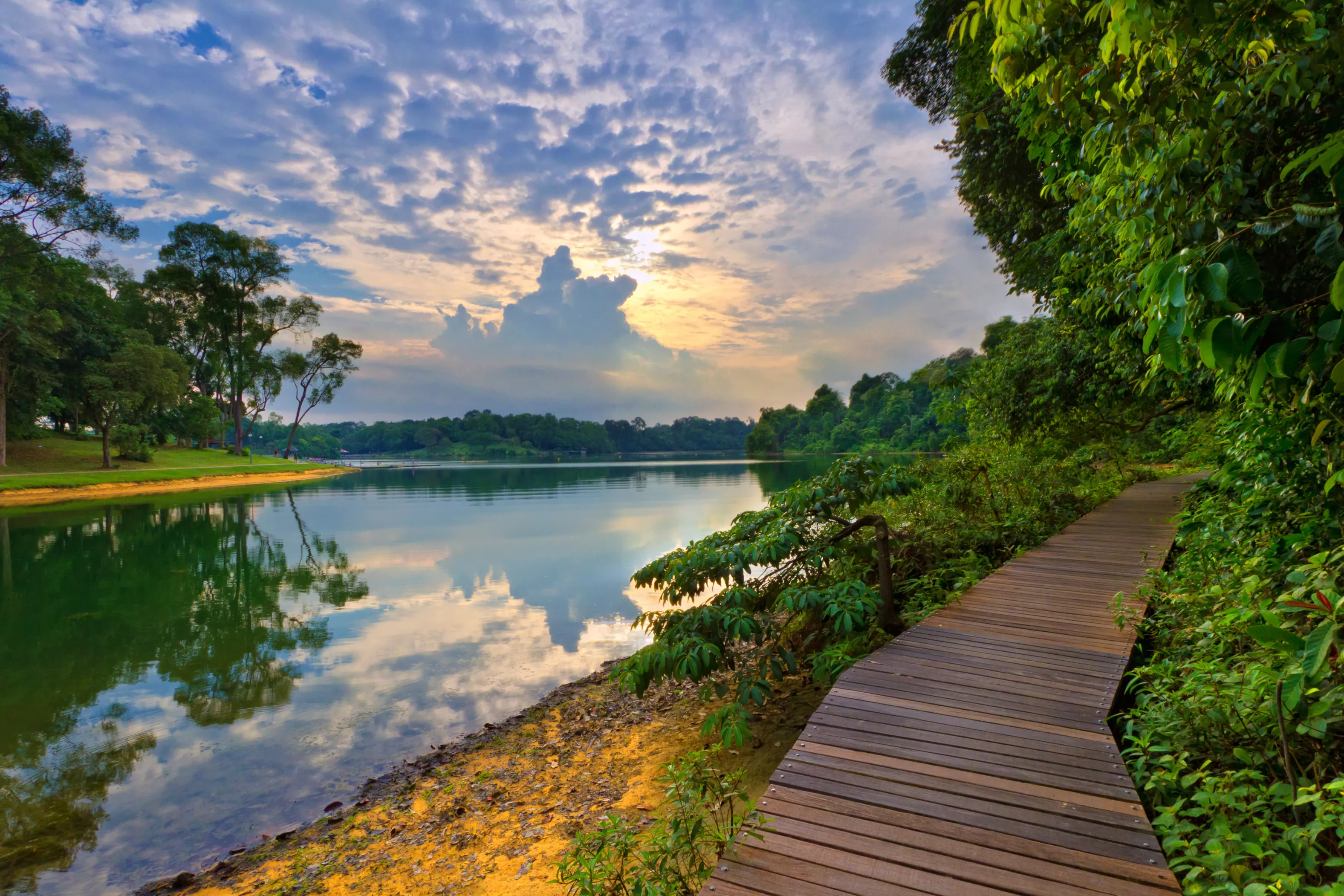 MacRitchie Reservoir Park in Singapore, Central Asia | Trekking & Hiking - Rated 3.7