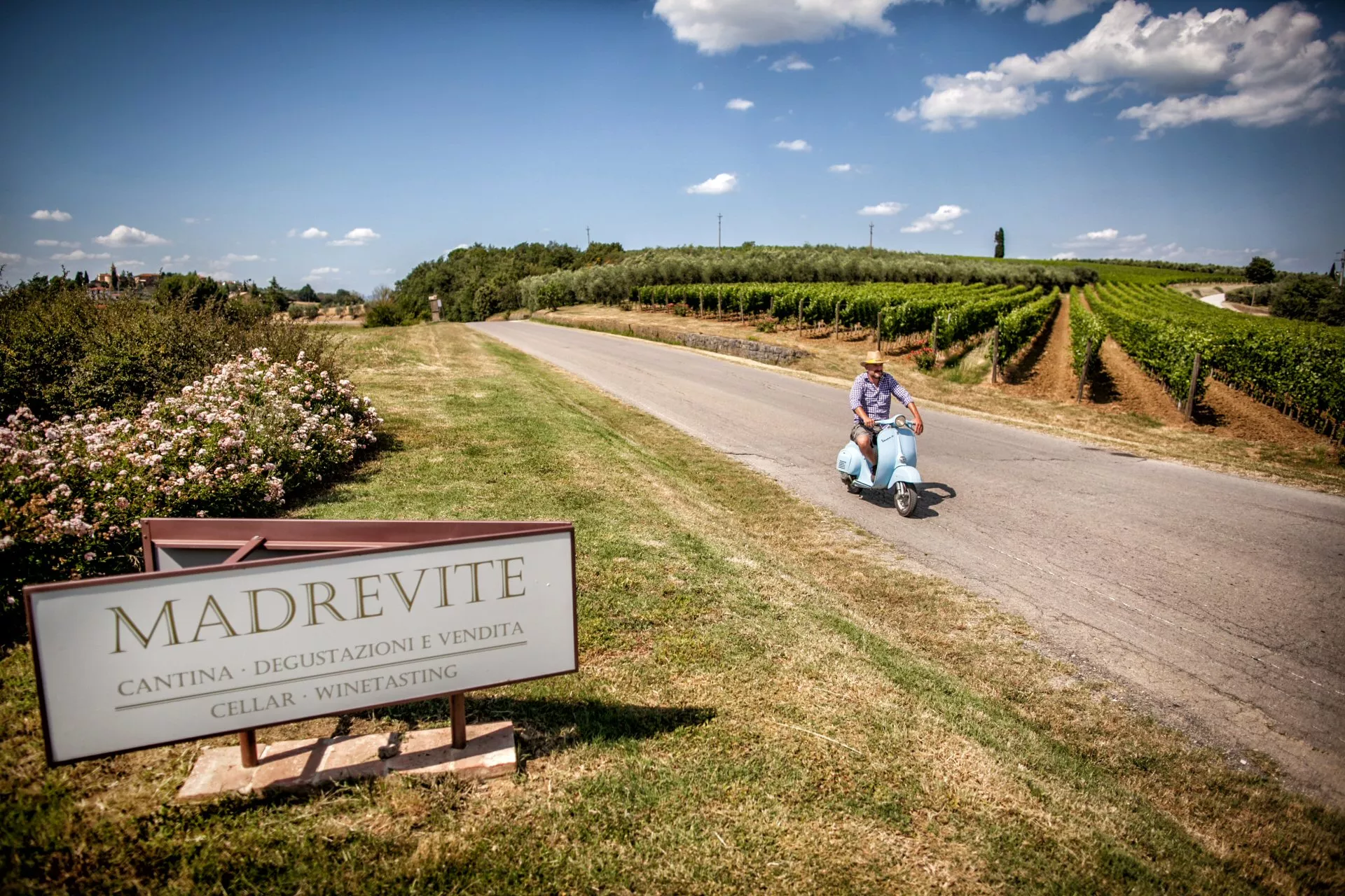 Madrevite in Italy, Europe | Wineries - Rated 0.9