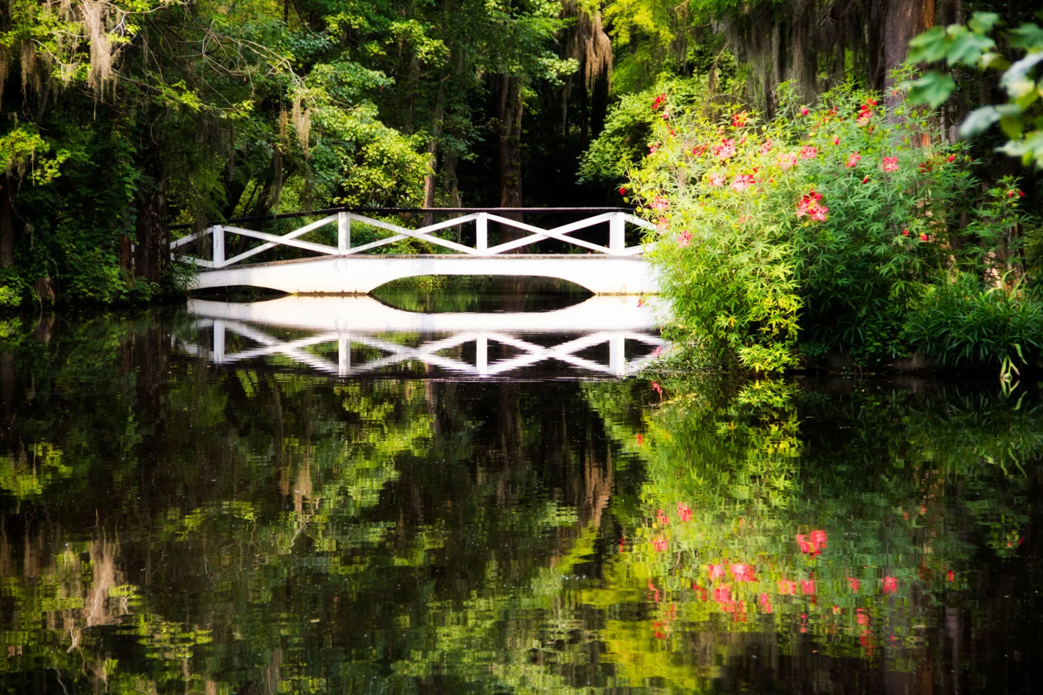 Magnolia Plantation and Gardens in USA, North America | Gardens - Rated 3.9