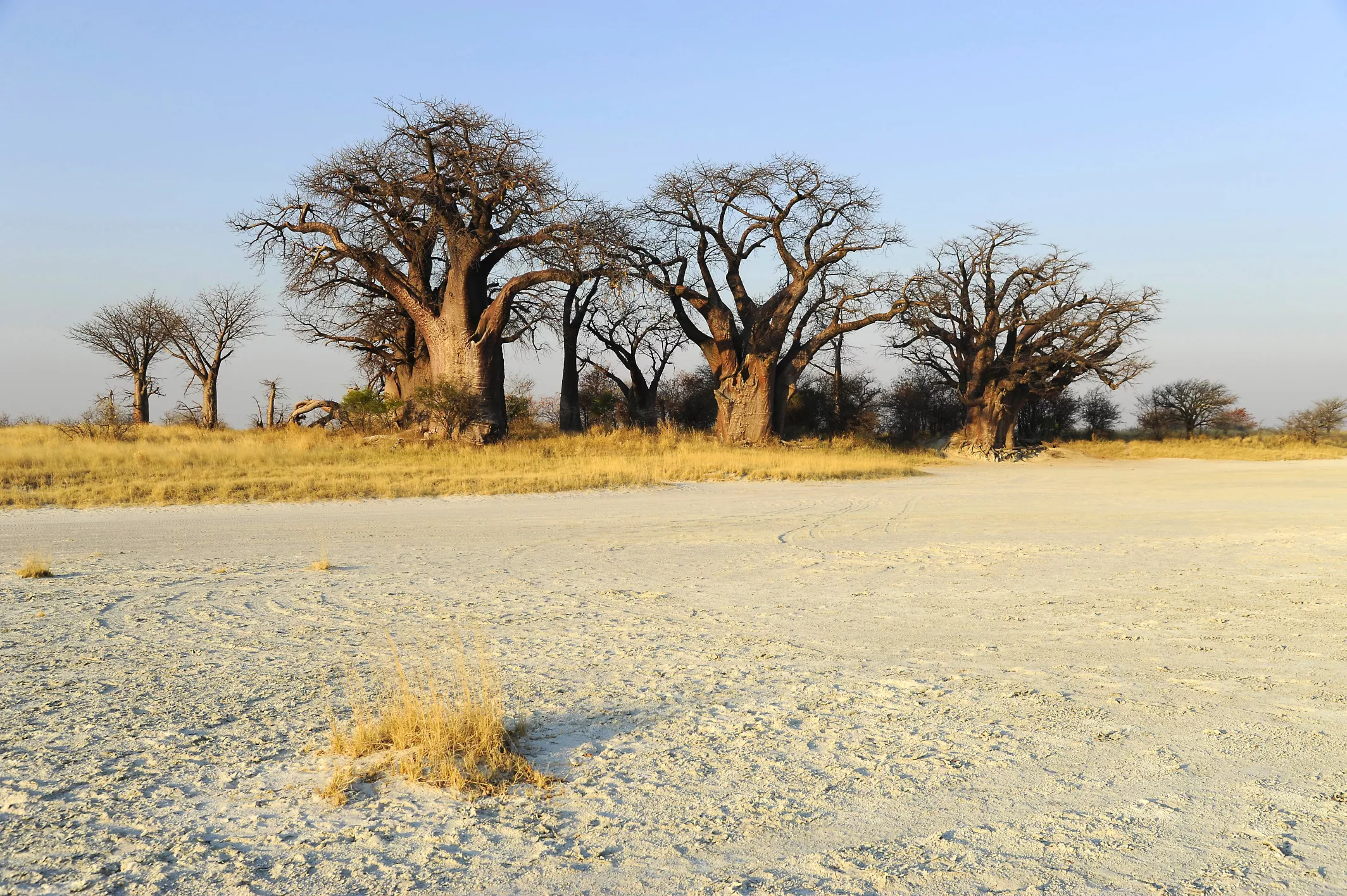 Makgadikgadi Salt Pan in Botswana, Africa | Deserts - Rated 0.7