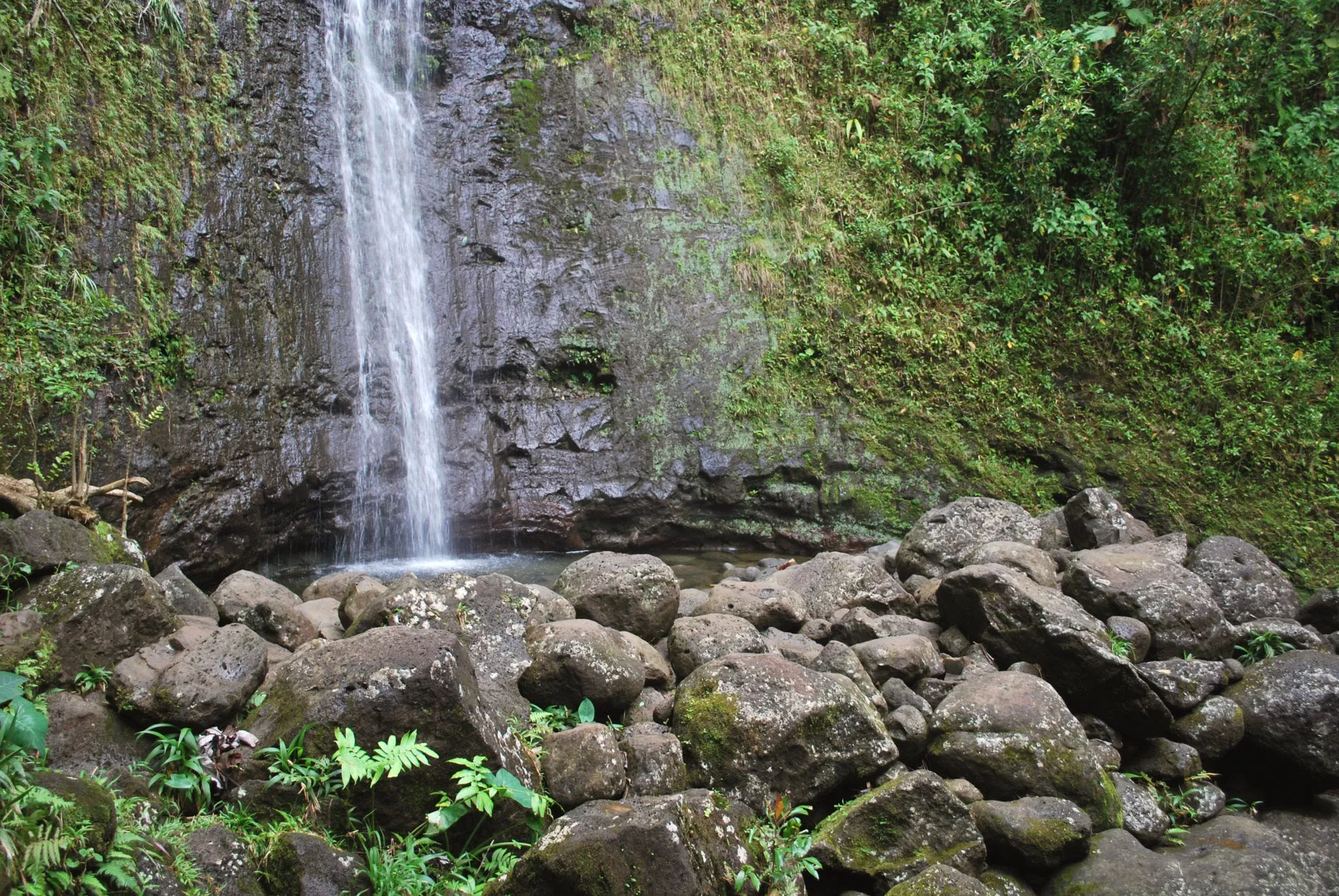 Manoa Falls in USA, North America | Waterfalls - Rated 3.6
