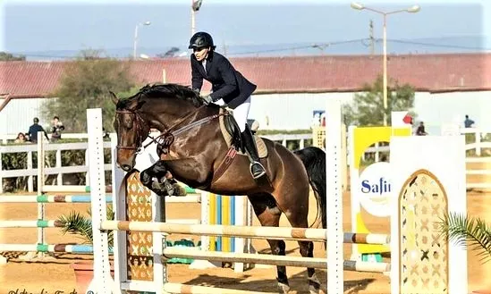 Metidja Equestrian Club Blida in Algeria, Africa | Horseback Riding - Rated 0.8