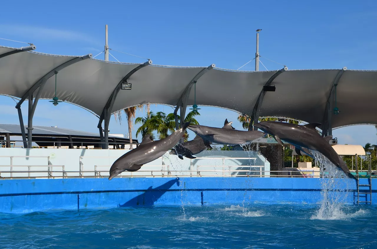 Miami Sekvarium in USA, North America | Aquariums & Oceanariums - Rated 4.3