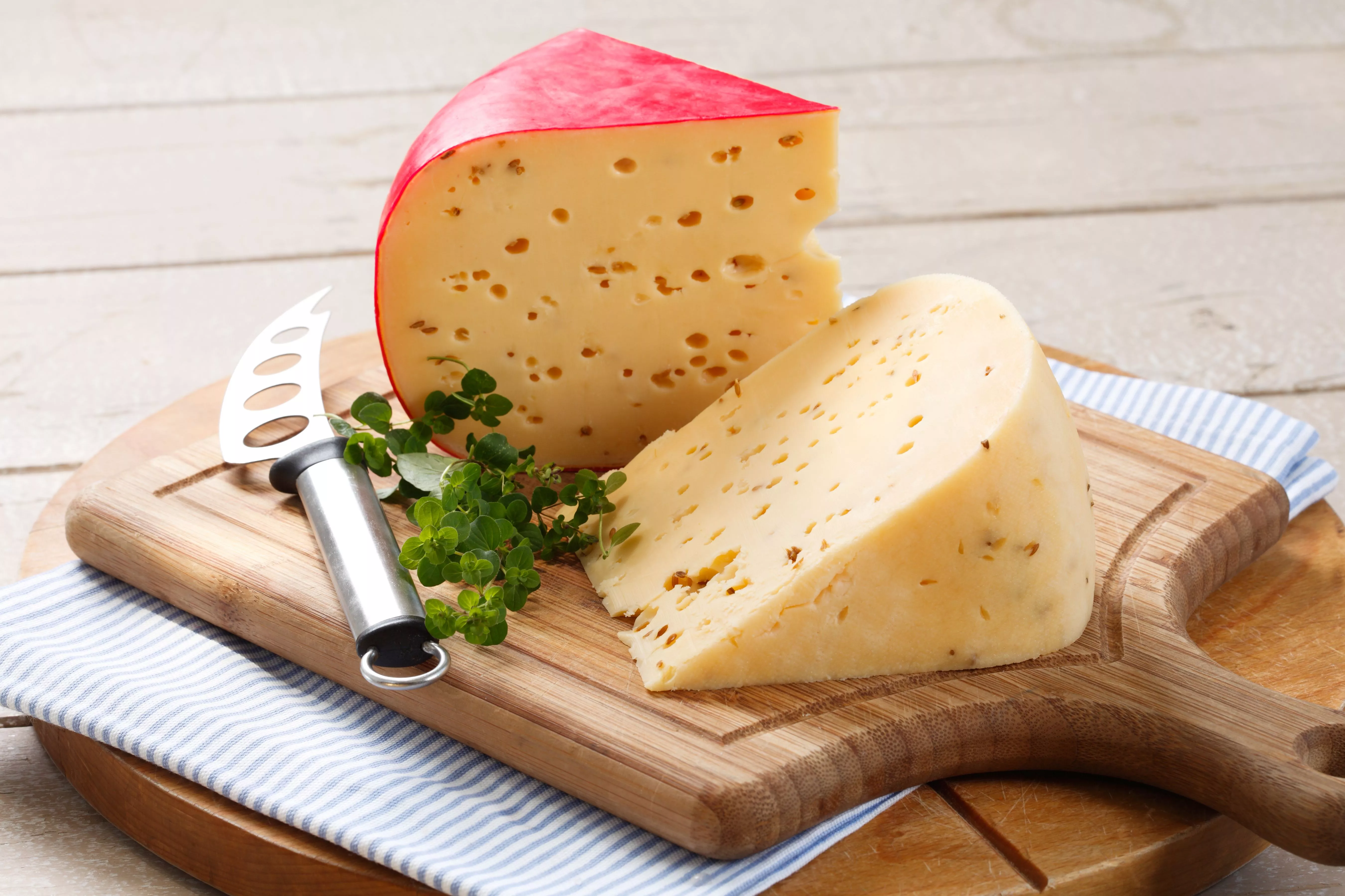 Agrona in Poland, Europe | Cheesemakers - Rated 0.9