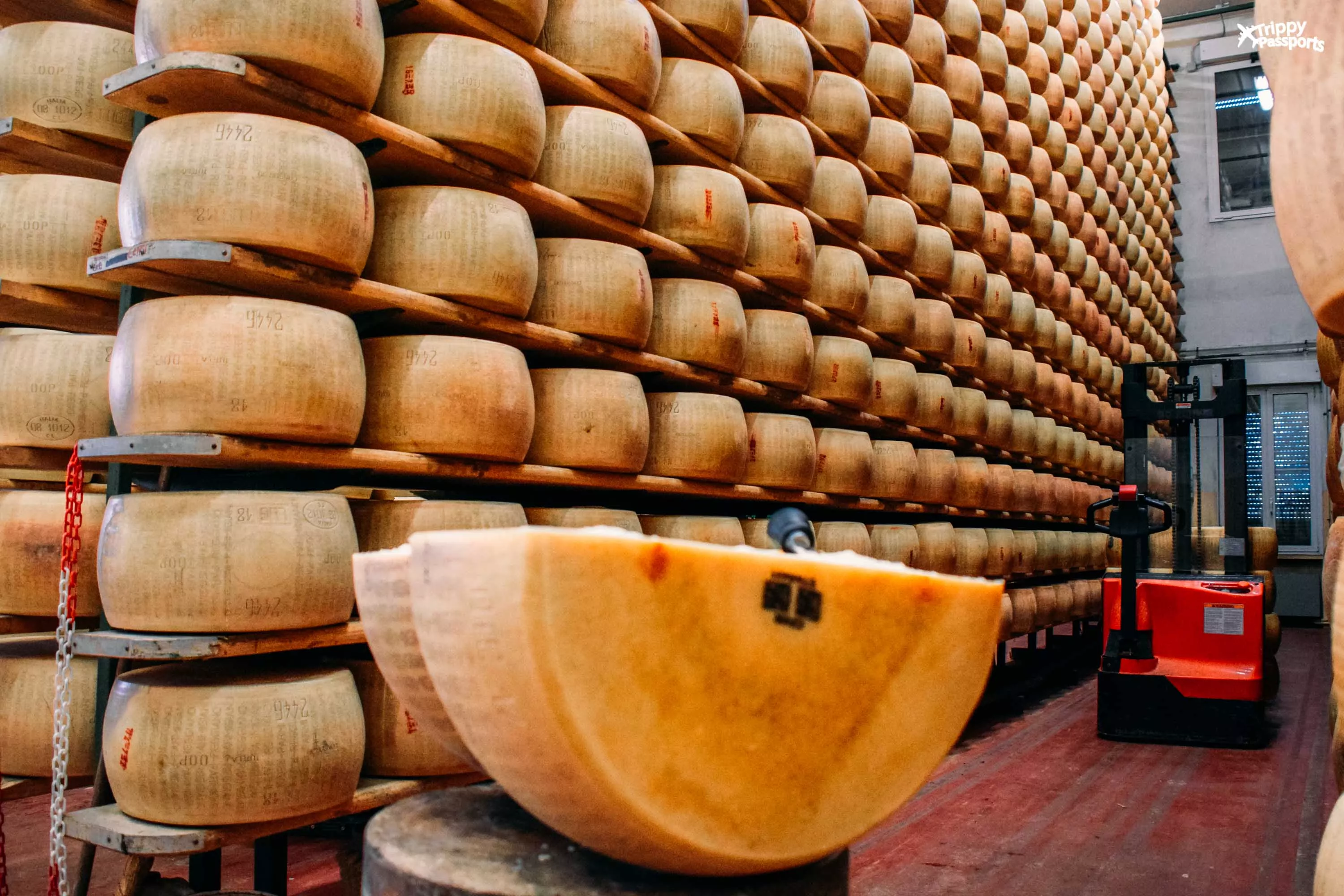 Caseificio Basilicanova in Italy, Europe | Cheesemakers - Rated 0.9