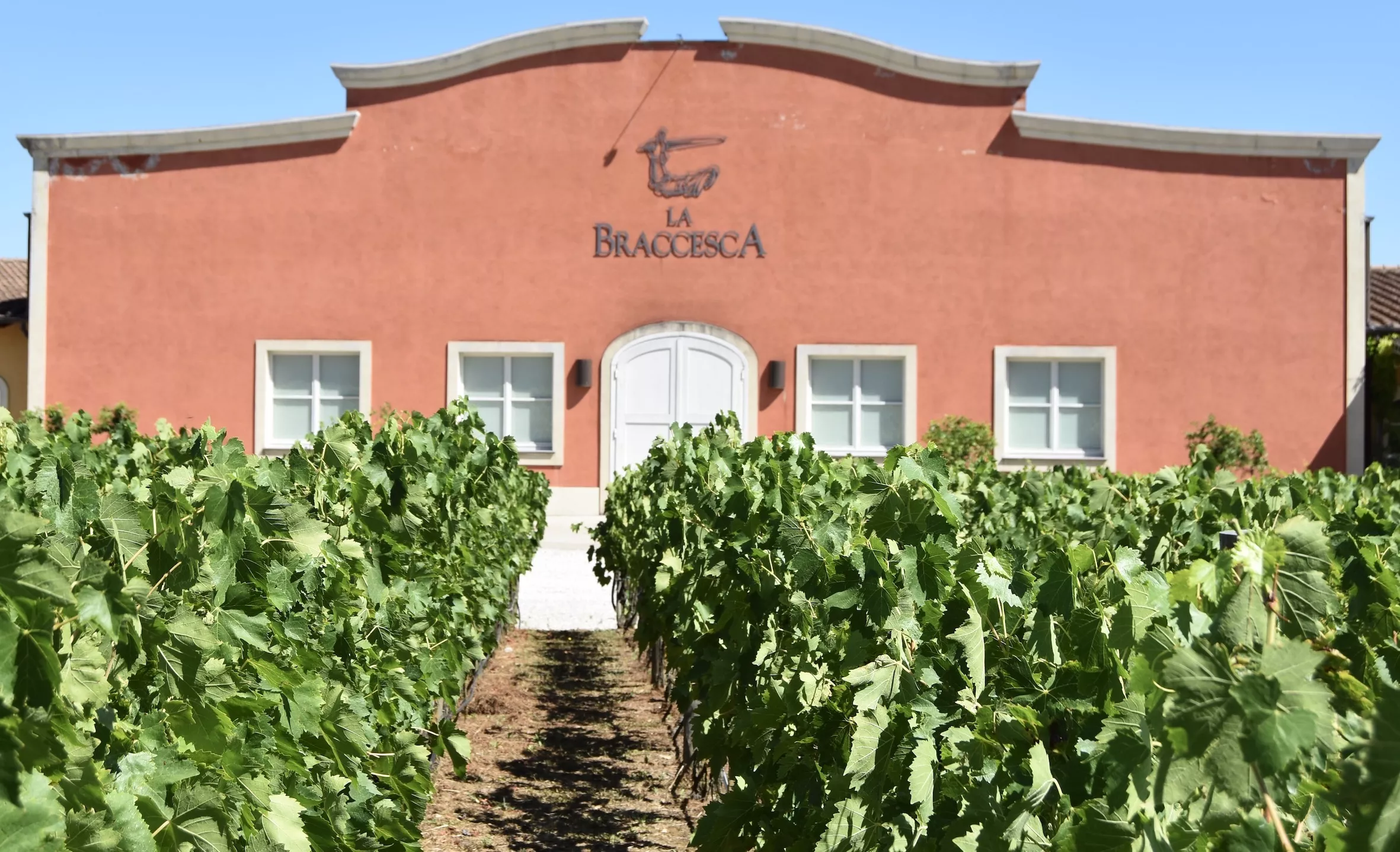 La Braccesca Estate in Italy, Europe | Wineries - Rated 0.9