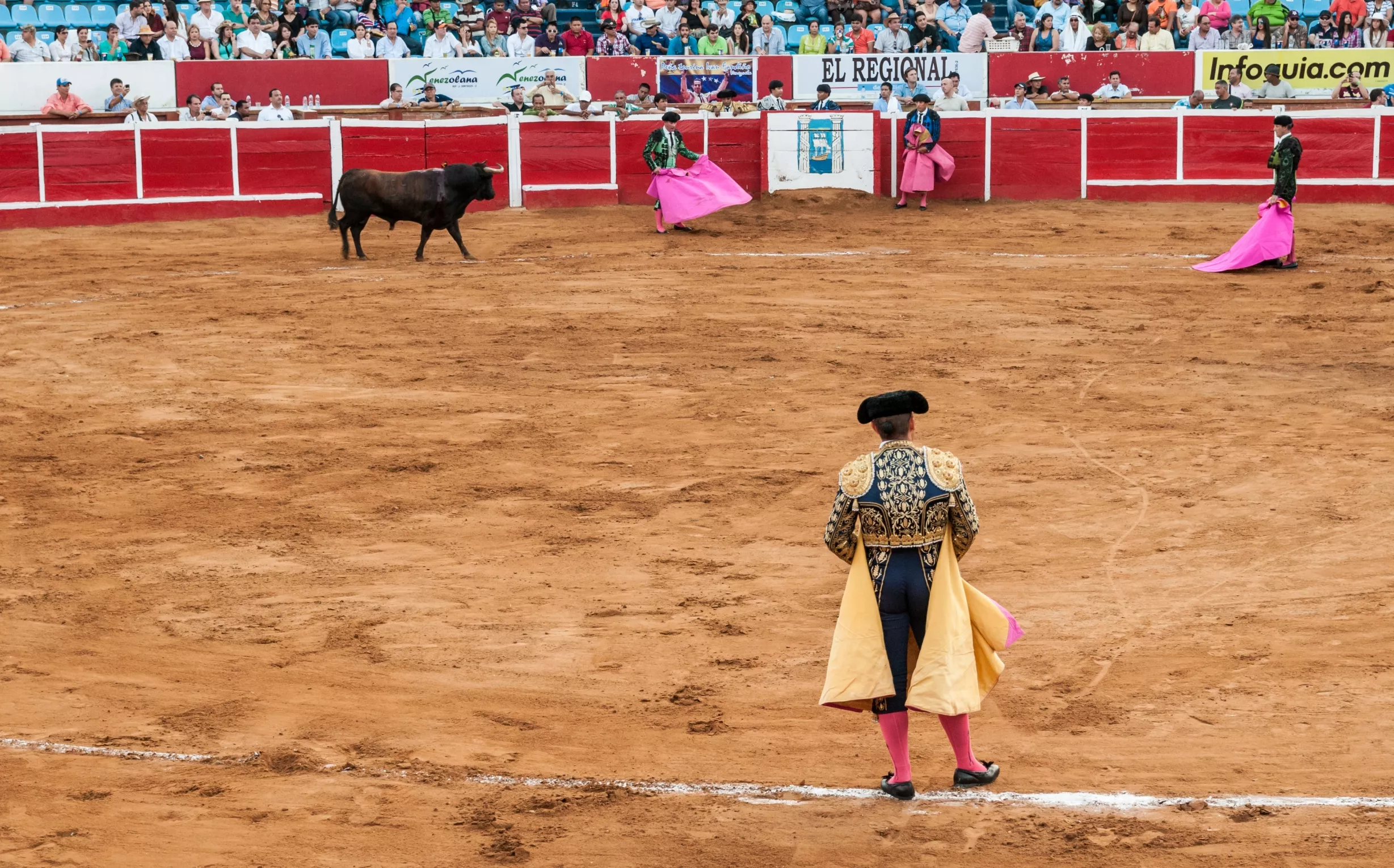 Monumental Plaza de Toros Mexico in Mexico, North America | Authentic Experience - Rated 5.3