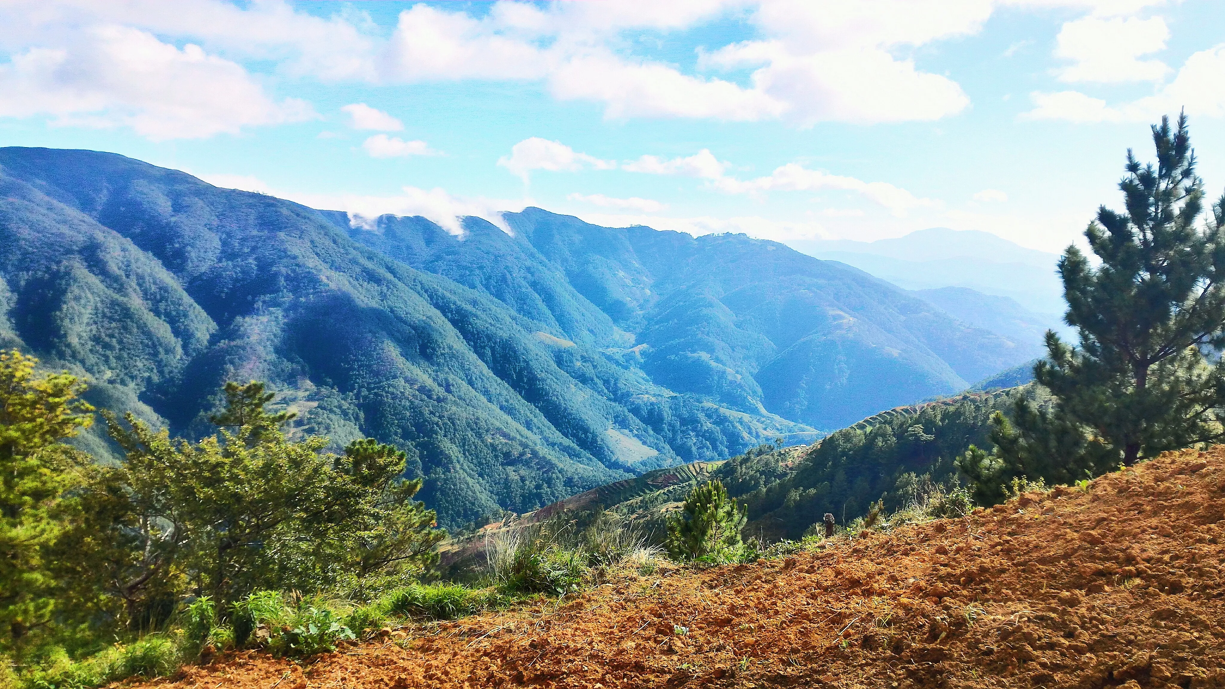 Mount Pulag in Philippines, Central Asia | Trekking & Hiking - Rated 3.7