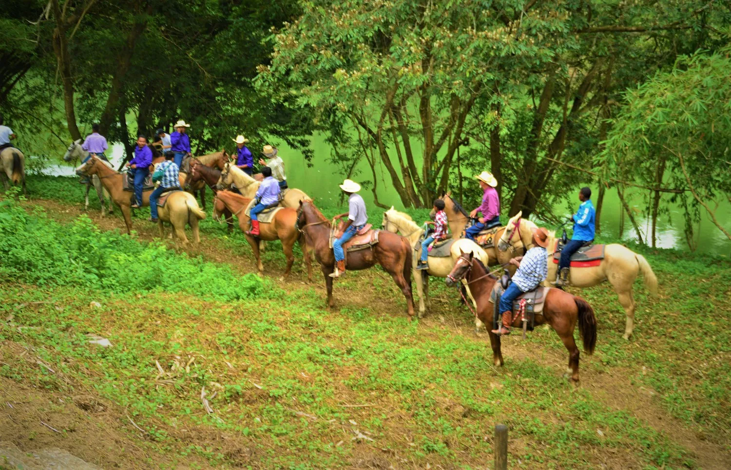 Mountain Rider Belize in Belize, North America | Horseback Riding - Rated 0.8