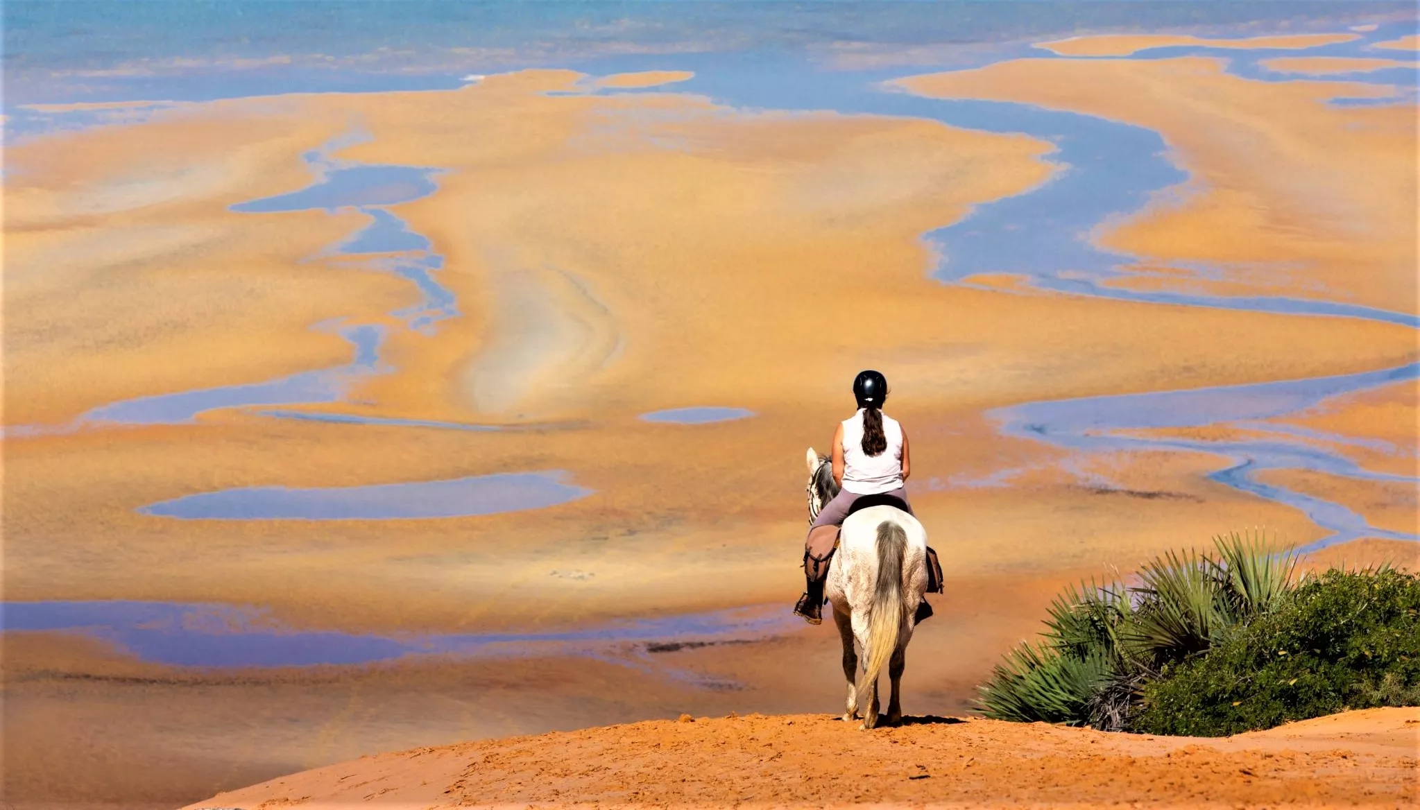 Horse Safari Mozambique in Mozambique, Africa | Horseback Riding - Rated 0.9