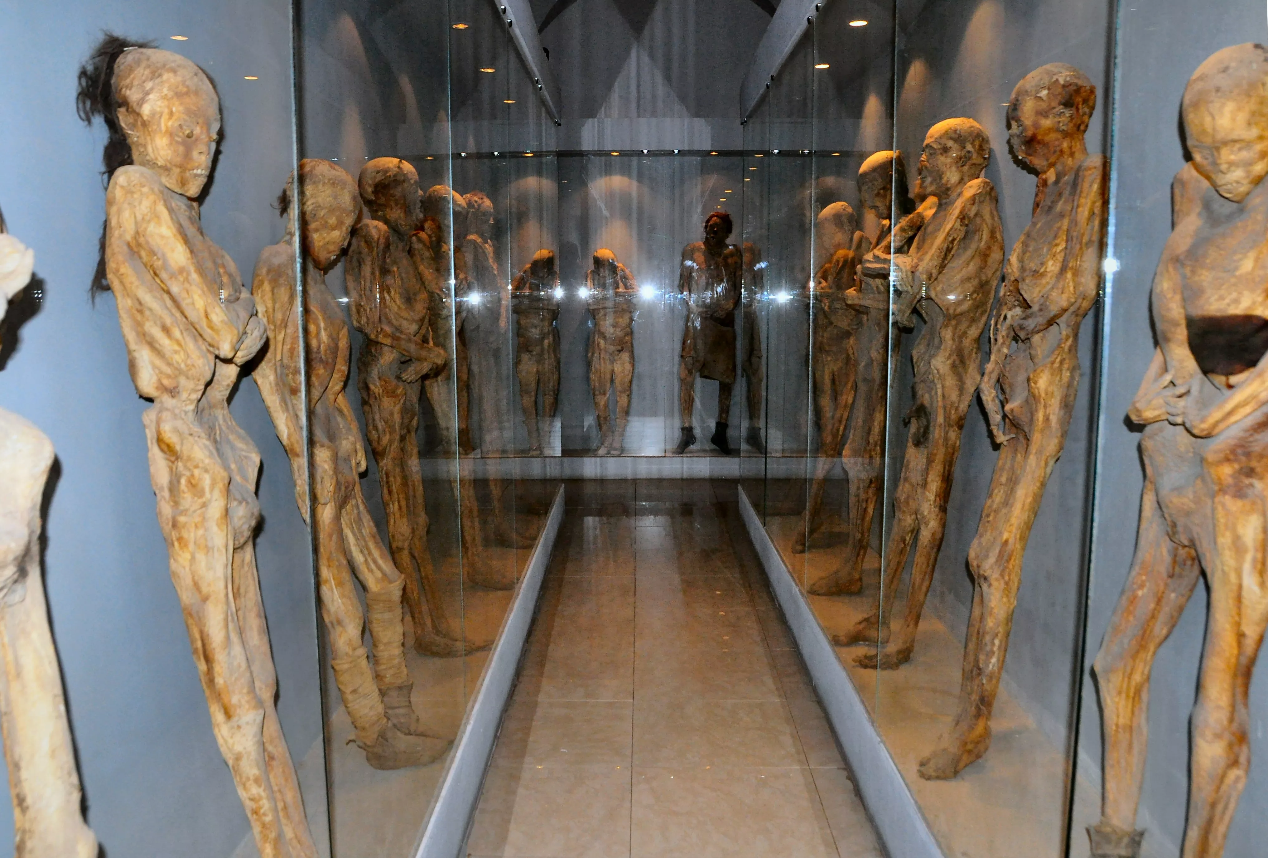 Mummy Museum in Mexico, North America | Museums - Rated 4.1