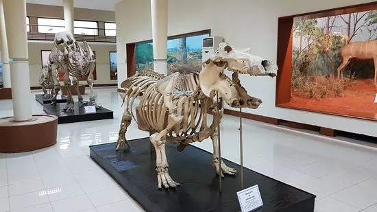 Museum of Natural History in Angola, Africa | Museums - Rated 0.7