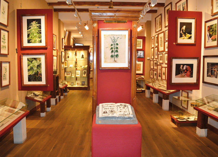 Museum of Hashish in Netherlands, Europe | Museums - Rated 3.5