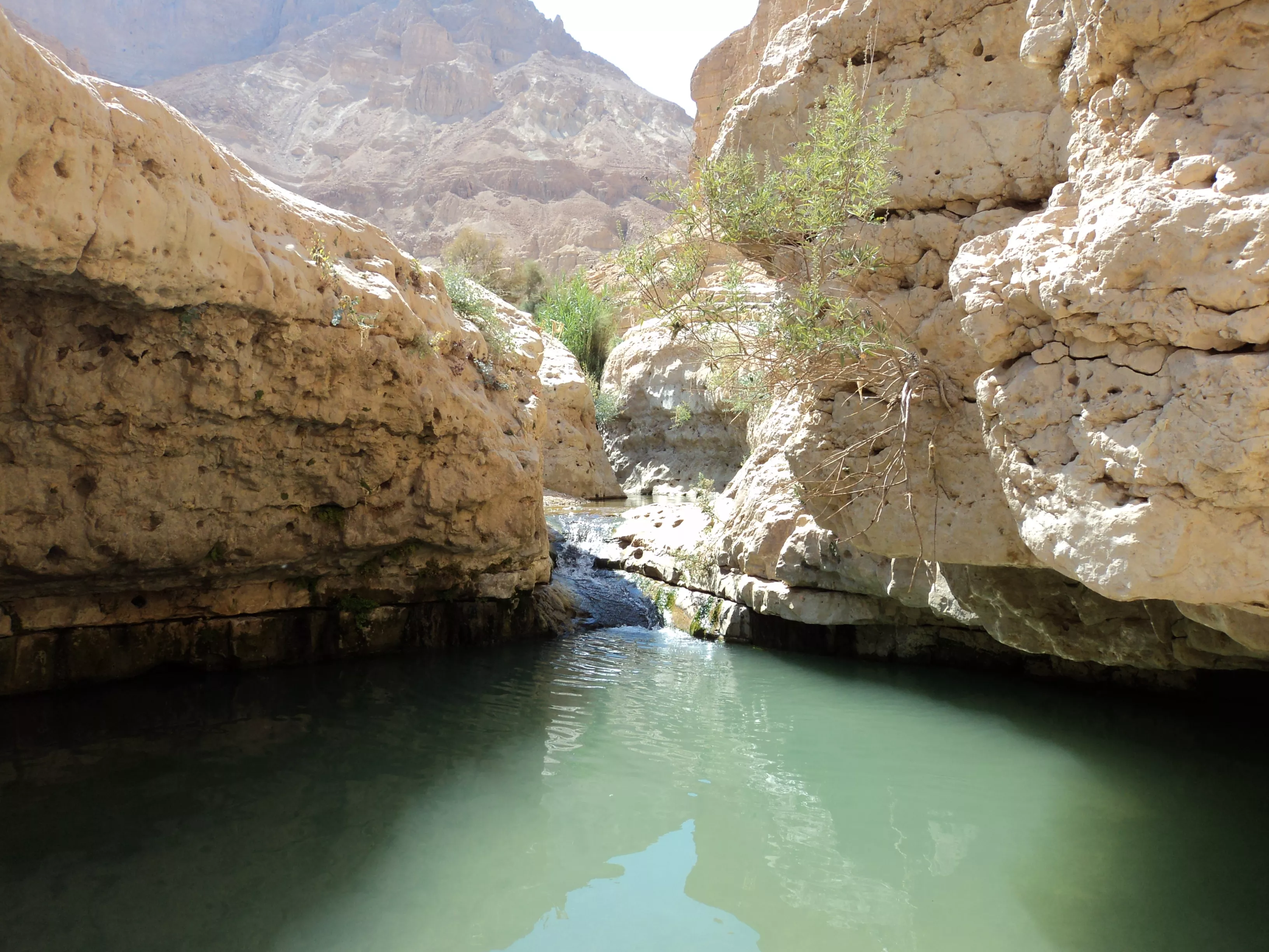 Nahal Arugot in Morocco, Africa | Trekking & Hiking - Rated 0.9