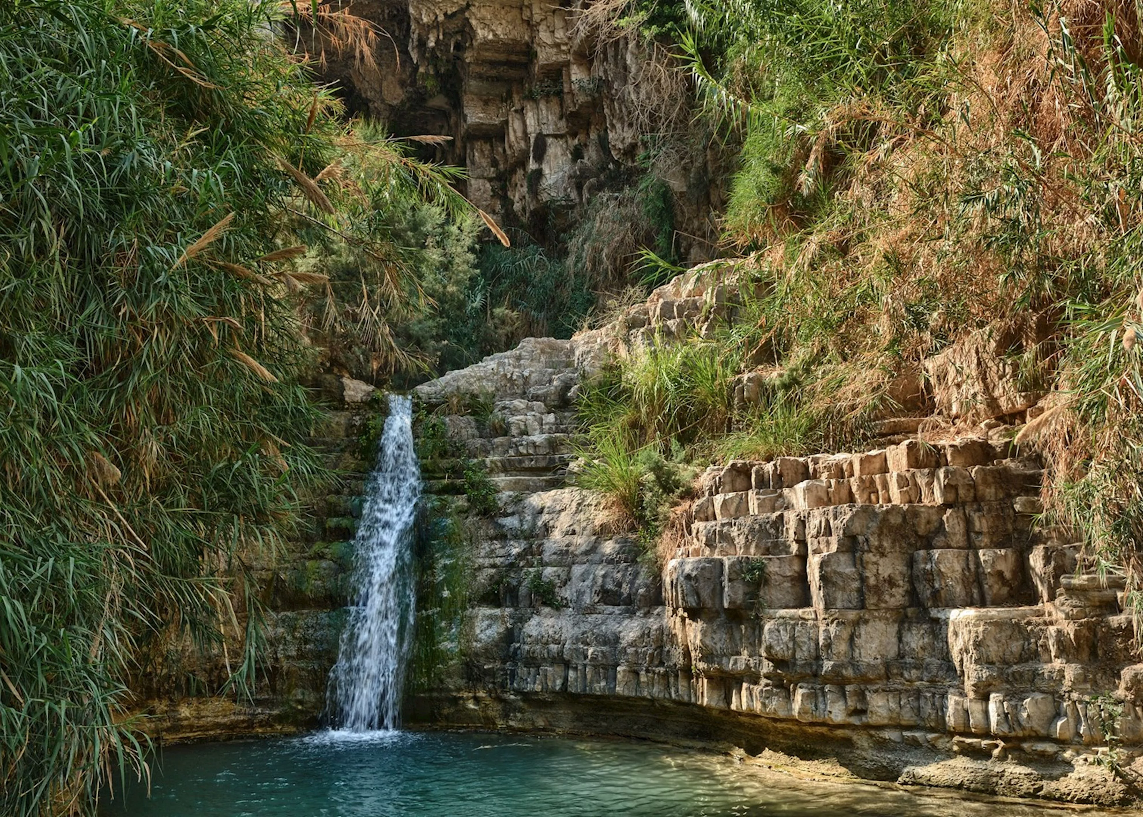 Nahal Arugot Hike in Israel, Middle East | Trekking & Hiking - Rated 0.9