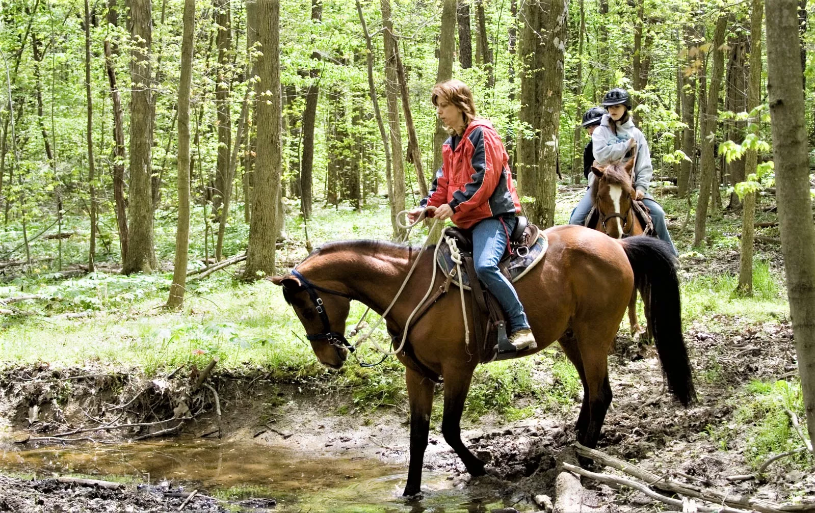 Namelis prerijose in Lithuania, Europe | Horseback Riding - Rated 0.9