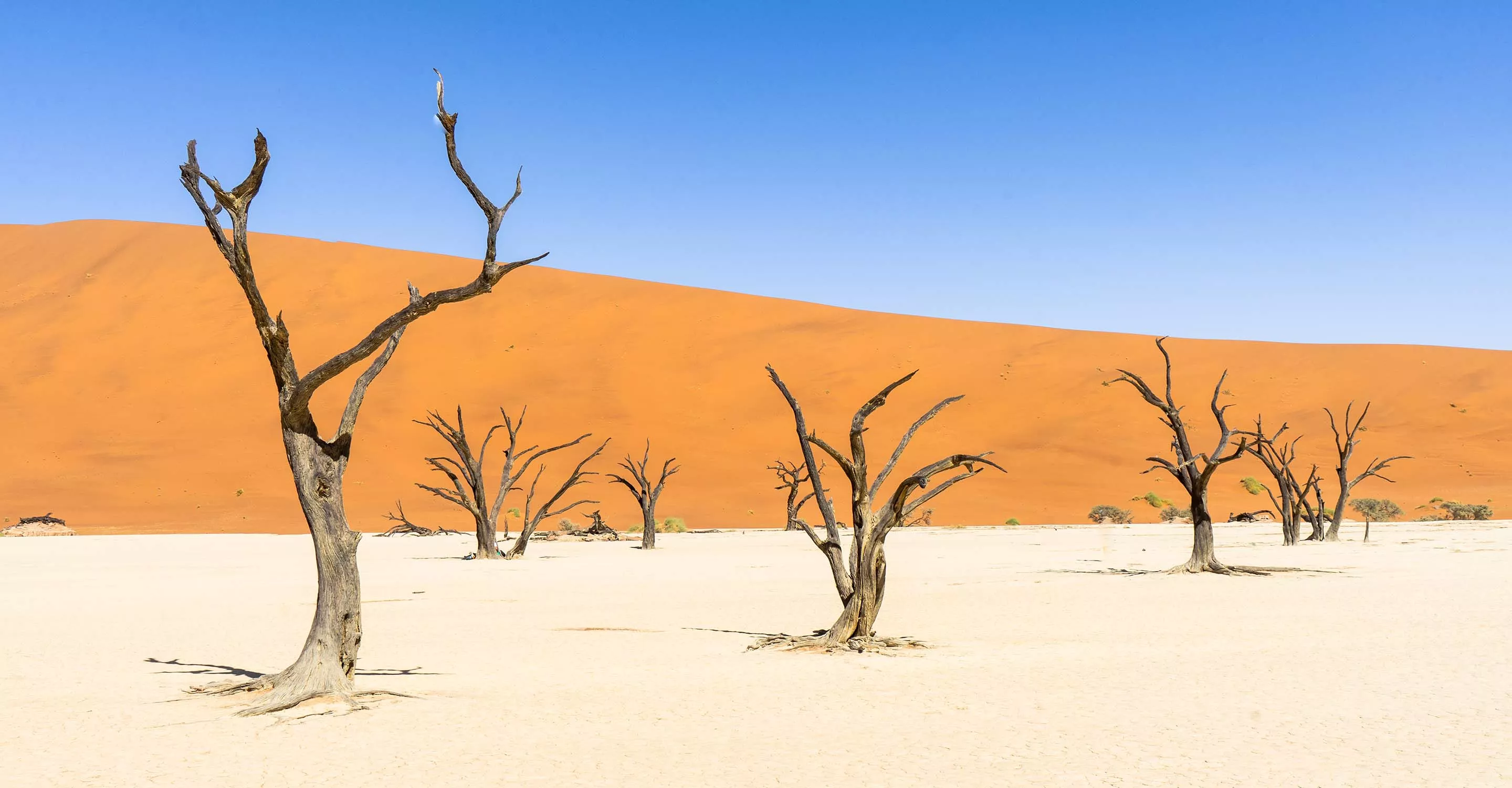 Dead Vlei in Namibia, Africa | Nature Reserves,Deserts - Rated 4.1
