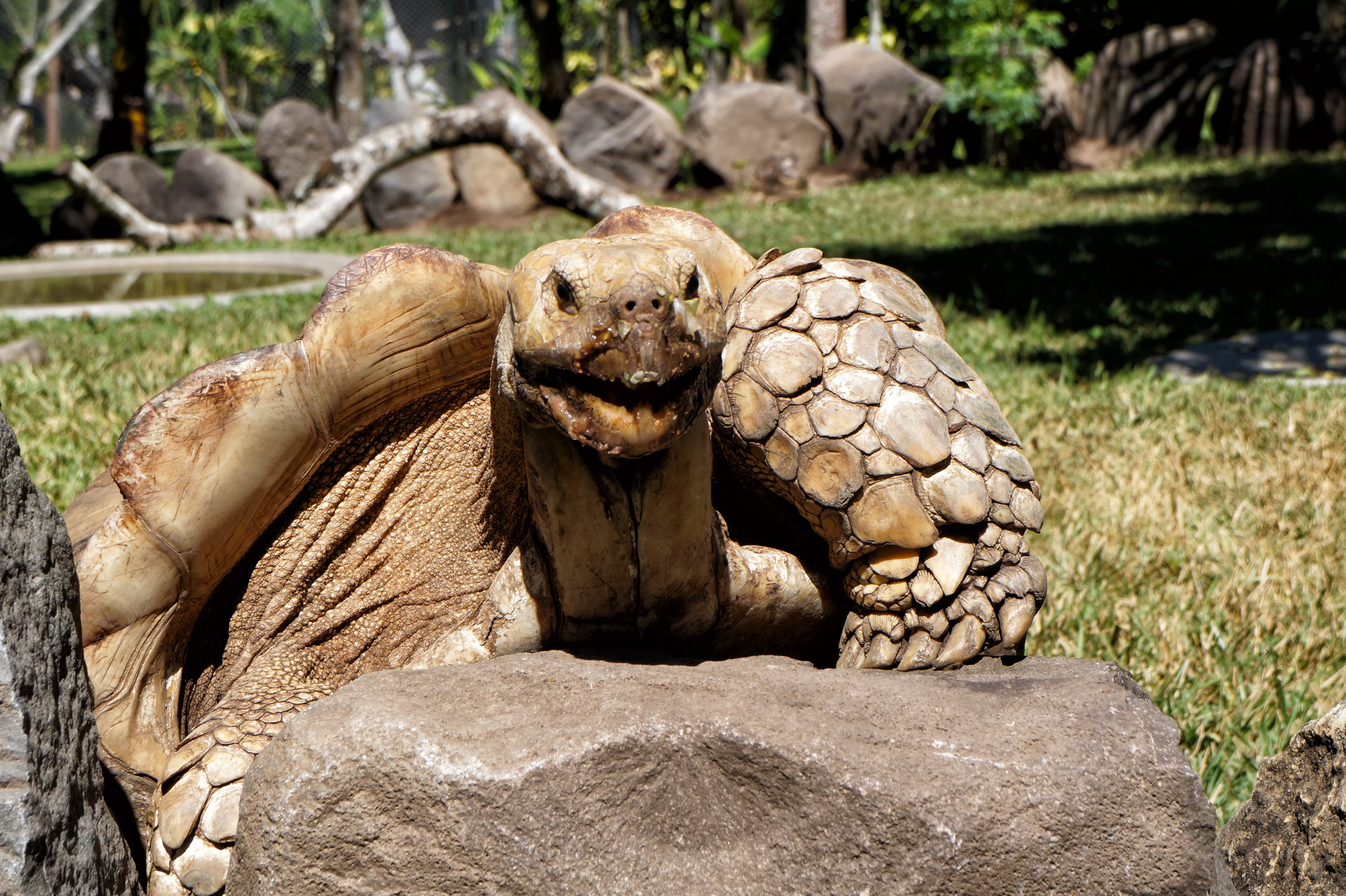 National Zoo Of El Salvador in El Salvador, North America | Zoos & Sanctuaries - Rated 3.4