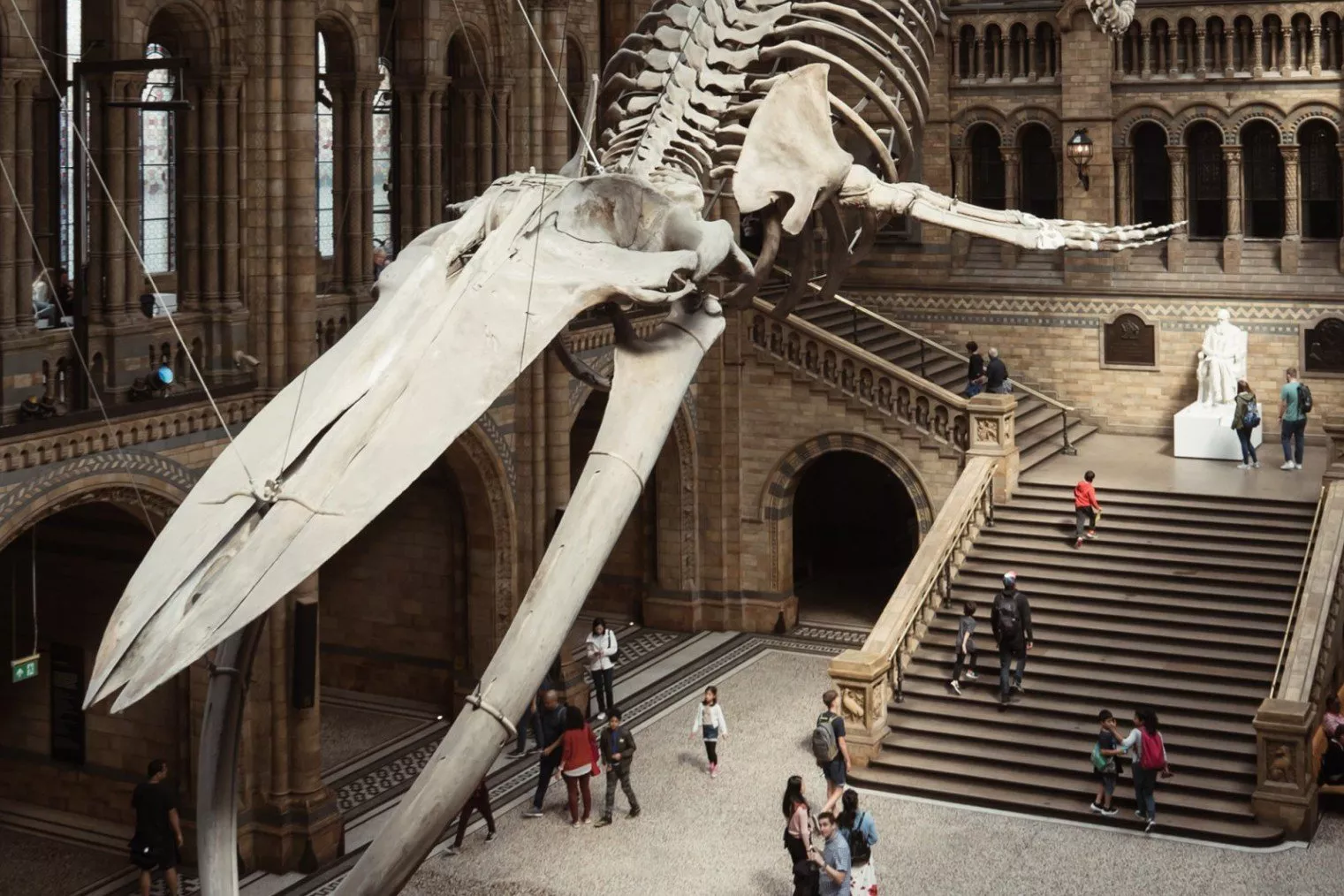 Museum of Natural History in United Kingdom, Europe | Museums - Rated 4.1