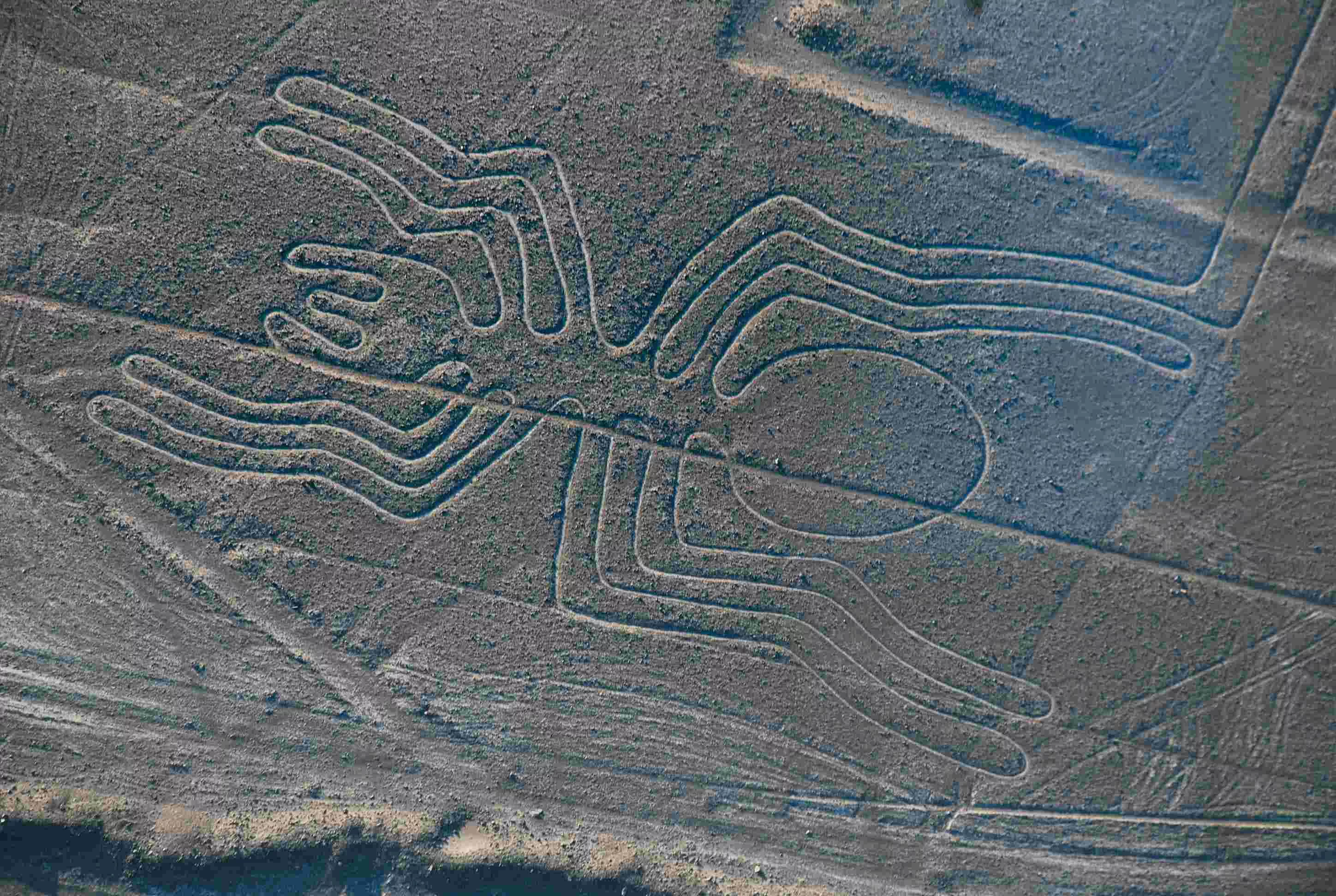 Nazca Lines in Peru, South America | Excavations - Rated 3.7