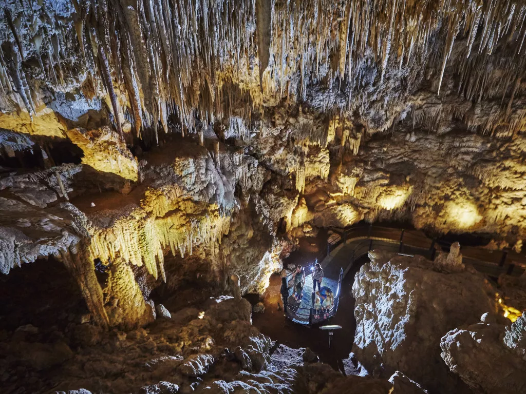 Ngilgi Cave in Australia, Australia and Oceania | Caves & Underground Places - Rated 3.8