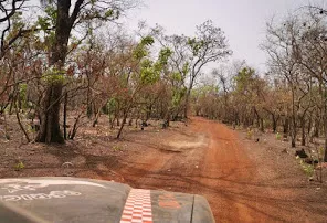Niokolo-Koba in Senegal, Africa | Parks,Safari - Rated 3.2