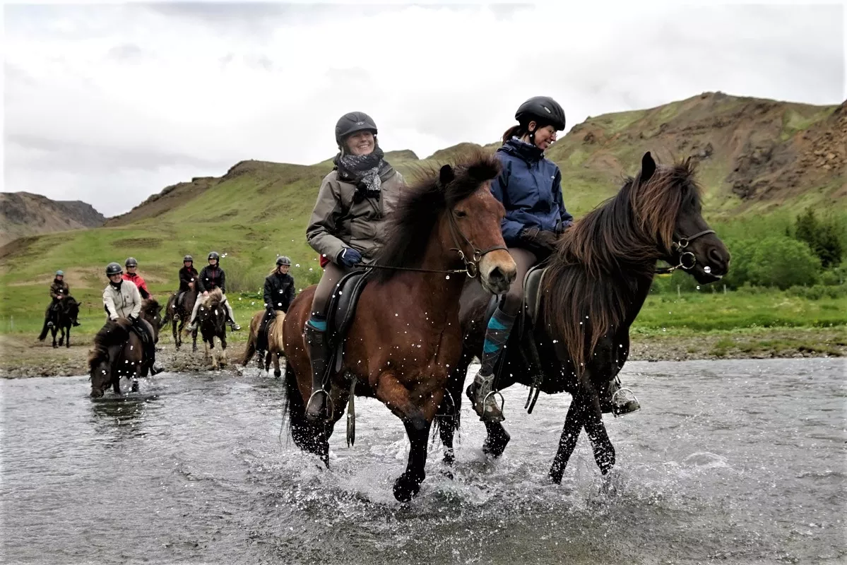 Nupshestar in Iceland, Europe | Horseback Riding - Rated 1