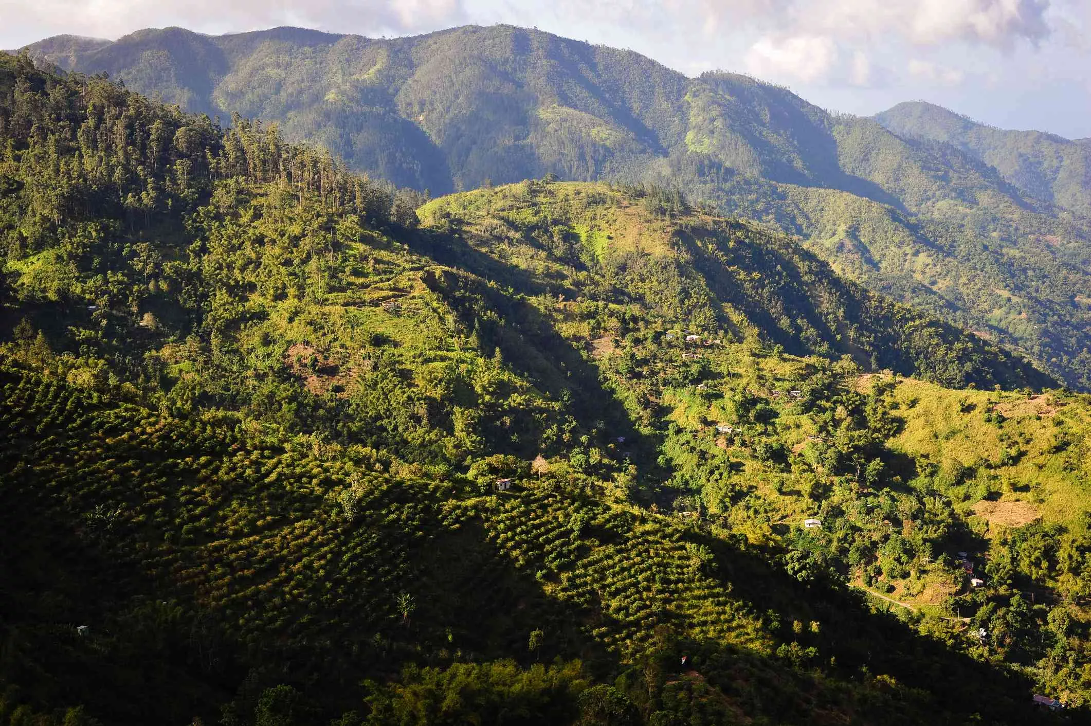 Oatley Mountain Trail in Jamaica, Caribbean | Trekking & Hiking - Rated 0.7
