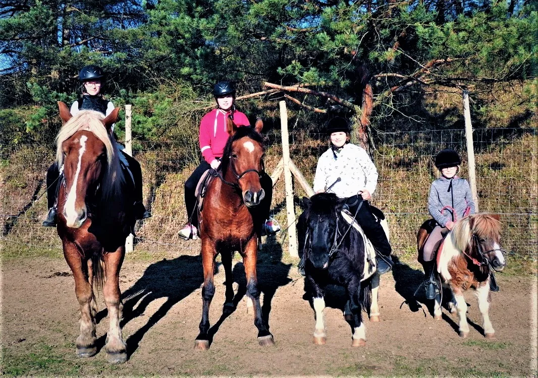 Obcianske zdruzenie Do Sedla in Slovakia, Europe | Horseback Riding - Rated 1
