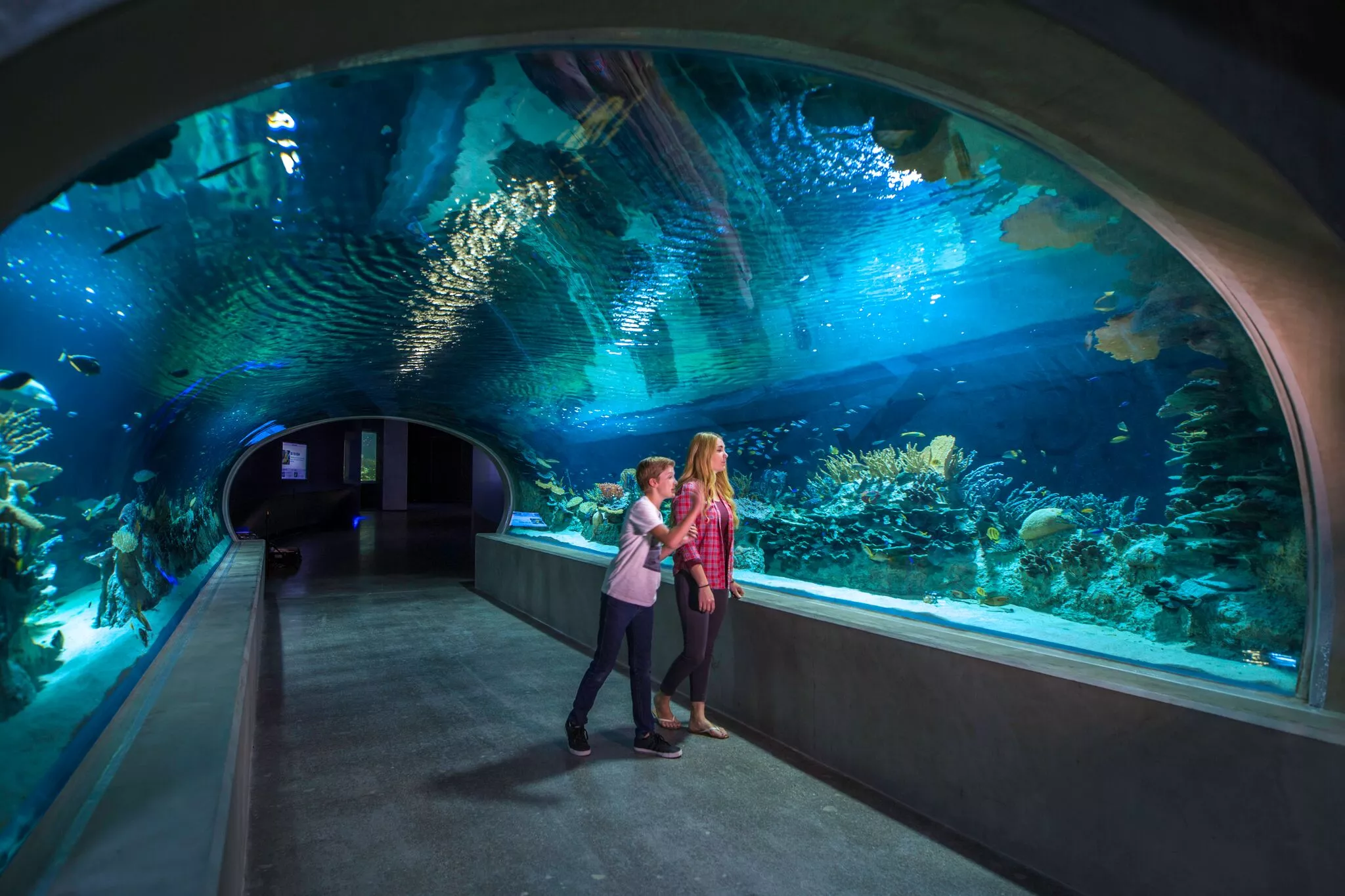 OdySea Aquarium in USA, North America | Aquariums & Oceanariums - Rated 4.7