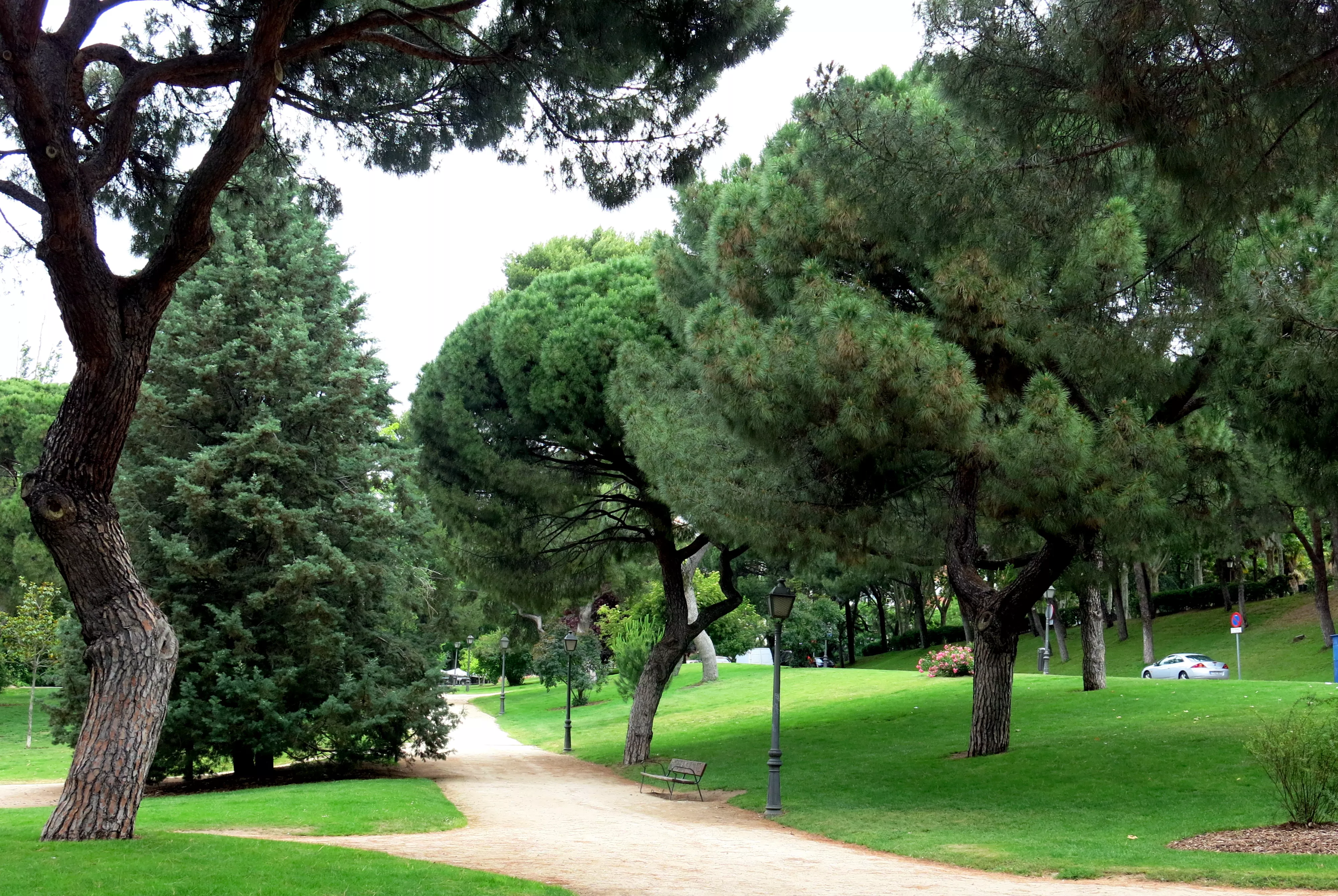 Oeste Park in Spain, Europe | Parks - Rated 4.2