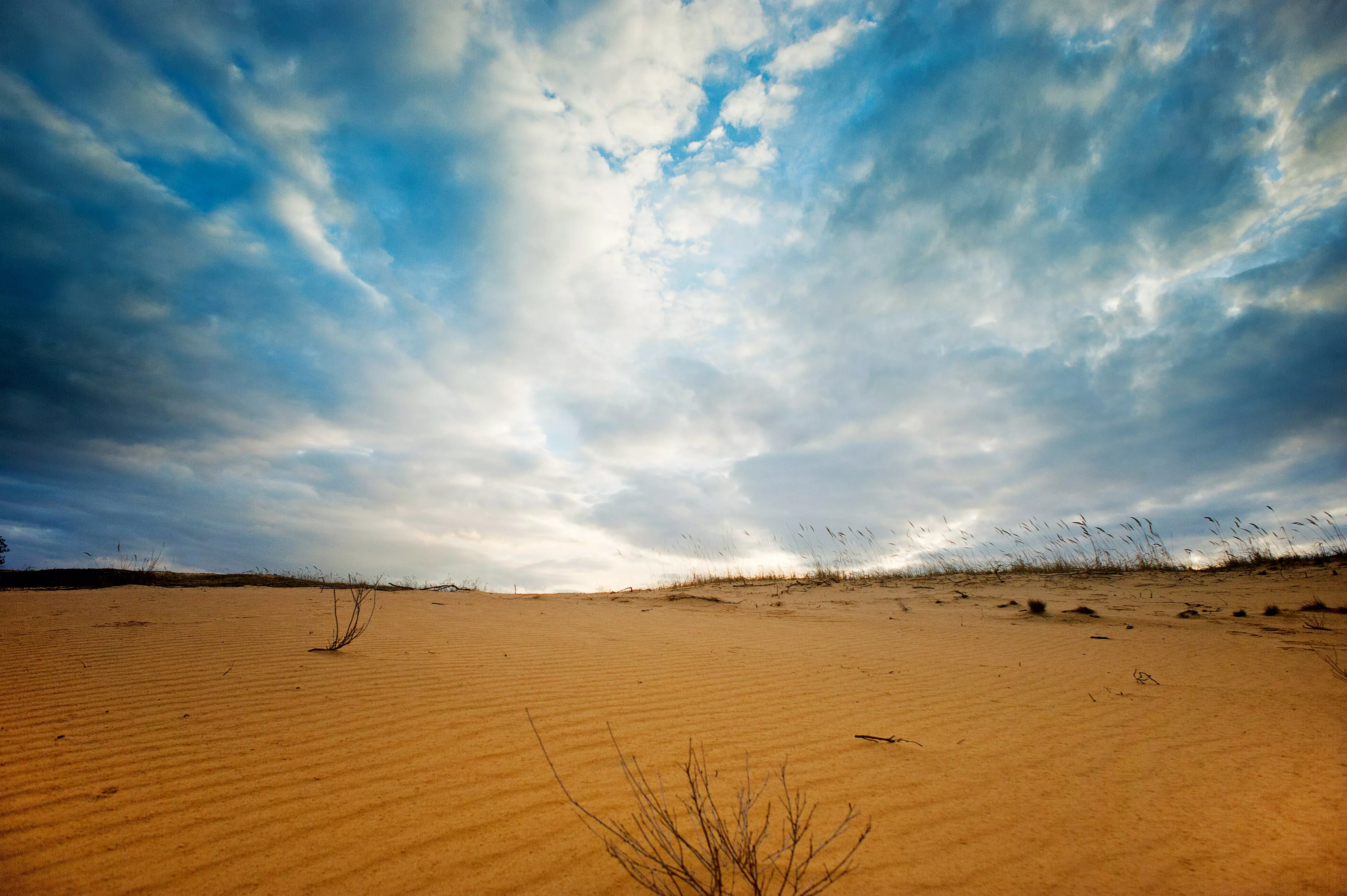 Oleshky Sands in Ukraine, Europe | Deserts,Trekking & Hiking - Rated 3.8