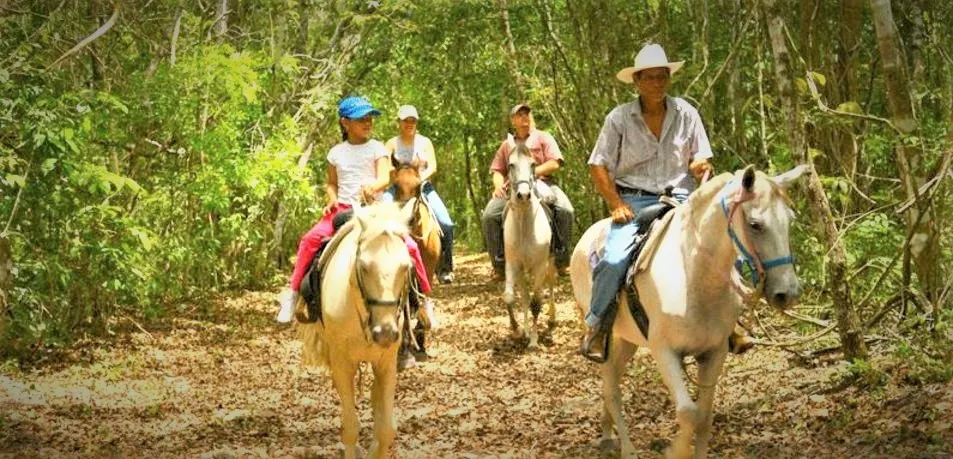 Outback Trails in Belize, North America | Horseback Riding - Rated 1